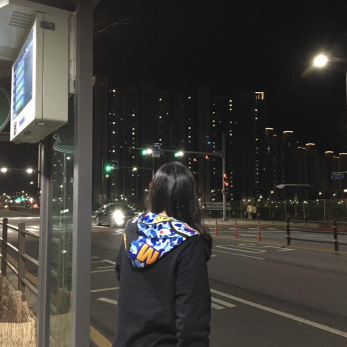 BAPE ABC Camo Reversible Shark Full Zip Hoodie Blue 착용 스타일 - 1