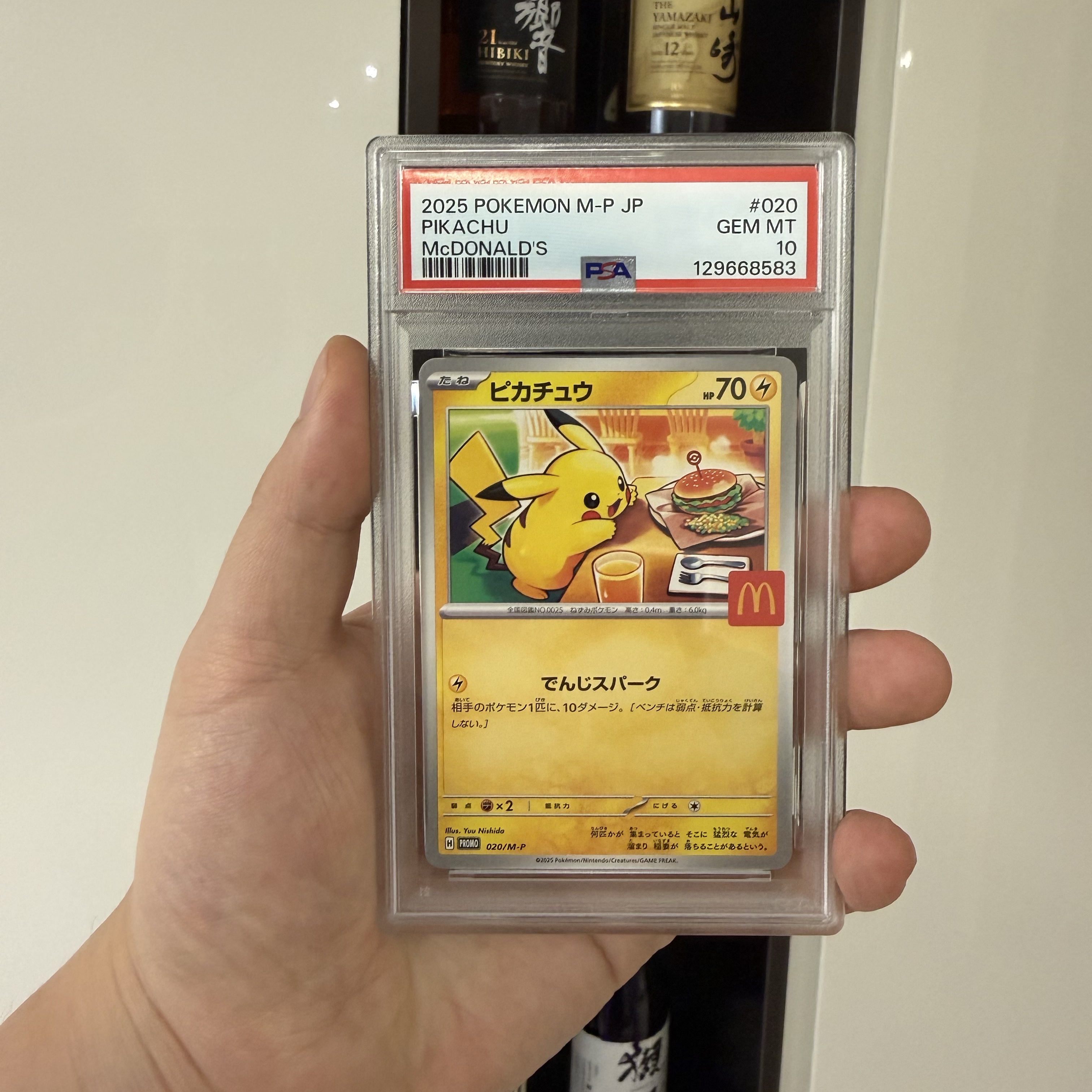 Pokemon TCG Pikachu P Mega Evolution Promos (Japanese Ver.) 착용 스타일