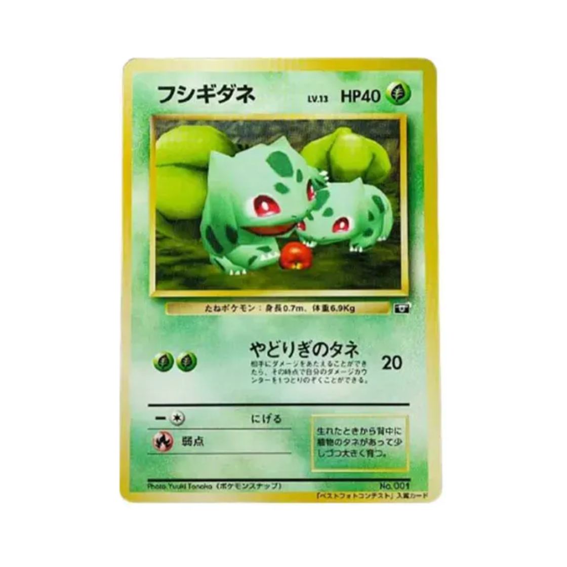 포켓몬 TCG 이상해씨 포켓몬 스냅 베스트 포코 톤테스트 우승 프로모 카드 (일어판)(Pokemon TCG Bulbasaur Pokemon Snap Best Photo Contest Promos (Japanese Ver.)) - 1