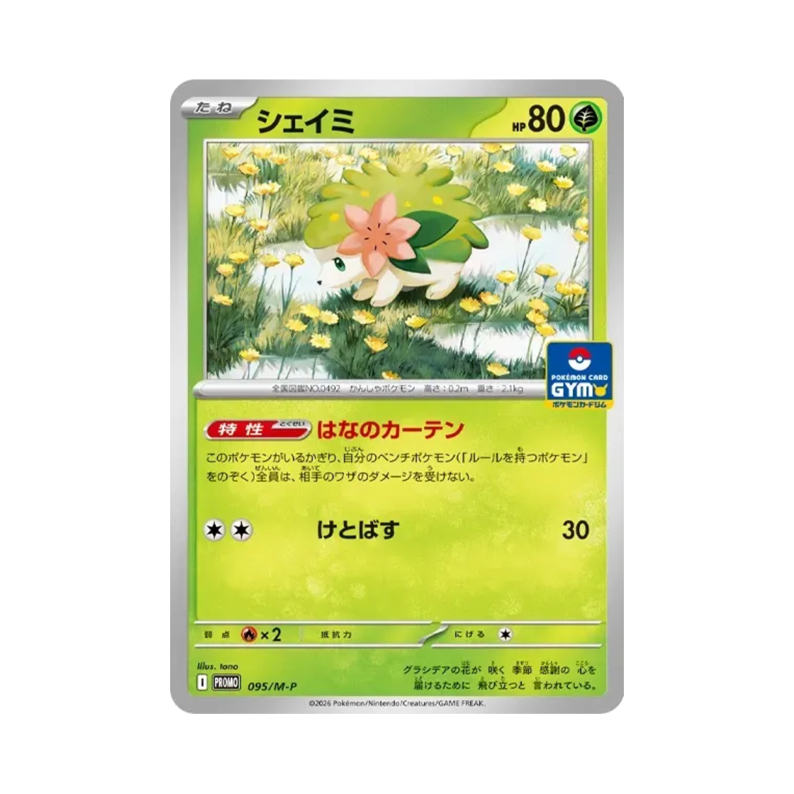 포켓몬 TCG 쉐이미 P 짐프로모 카드 팩 프로모 카드 (일어판)(Pokemon TCG Shaymin P Gym Promo Pack Promos (Japanese Ver.)) - 1