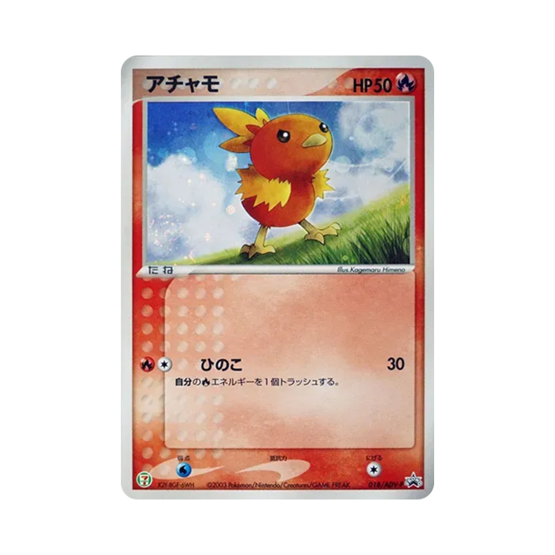 포켓몬 TCG 아차모 P 세븐일레븐 포켓몬 페어 캠페인 한정 프로모 카드 (일어판)(Pokemon TCG Torchic P 7-Eleven Pokemon Fair Campaign Promos (Japanese Ver.)) - 1