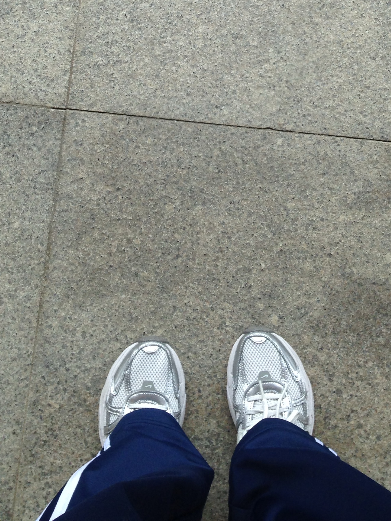 Adidas Adicolor Classics Firebird Track Pants Night Indigo - KR Sizing, Nike V2K Run Metallic Silver White 착용 스타일 - 2