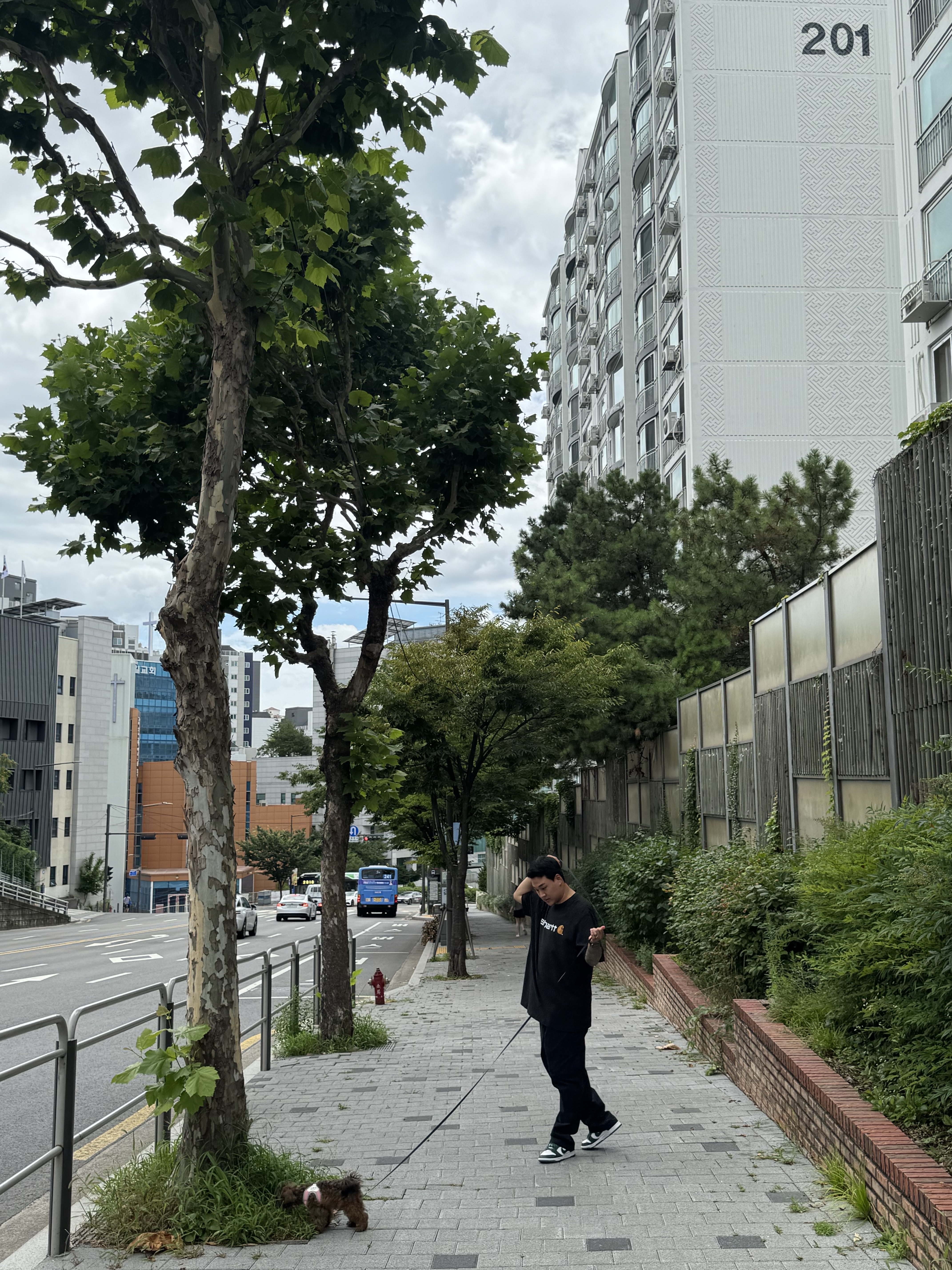 Nike Club Cargo Pants Black - Asia, Carhartt Loose Fit Heavyweight Regular Short Sleeve Logo Graphic T-Shirt Black 착용 스타일 - 3
