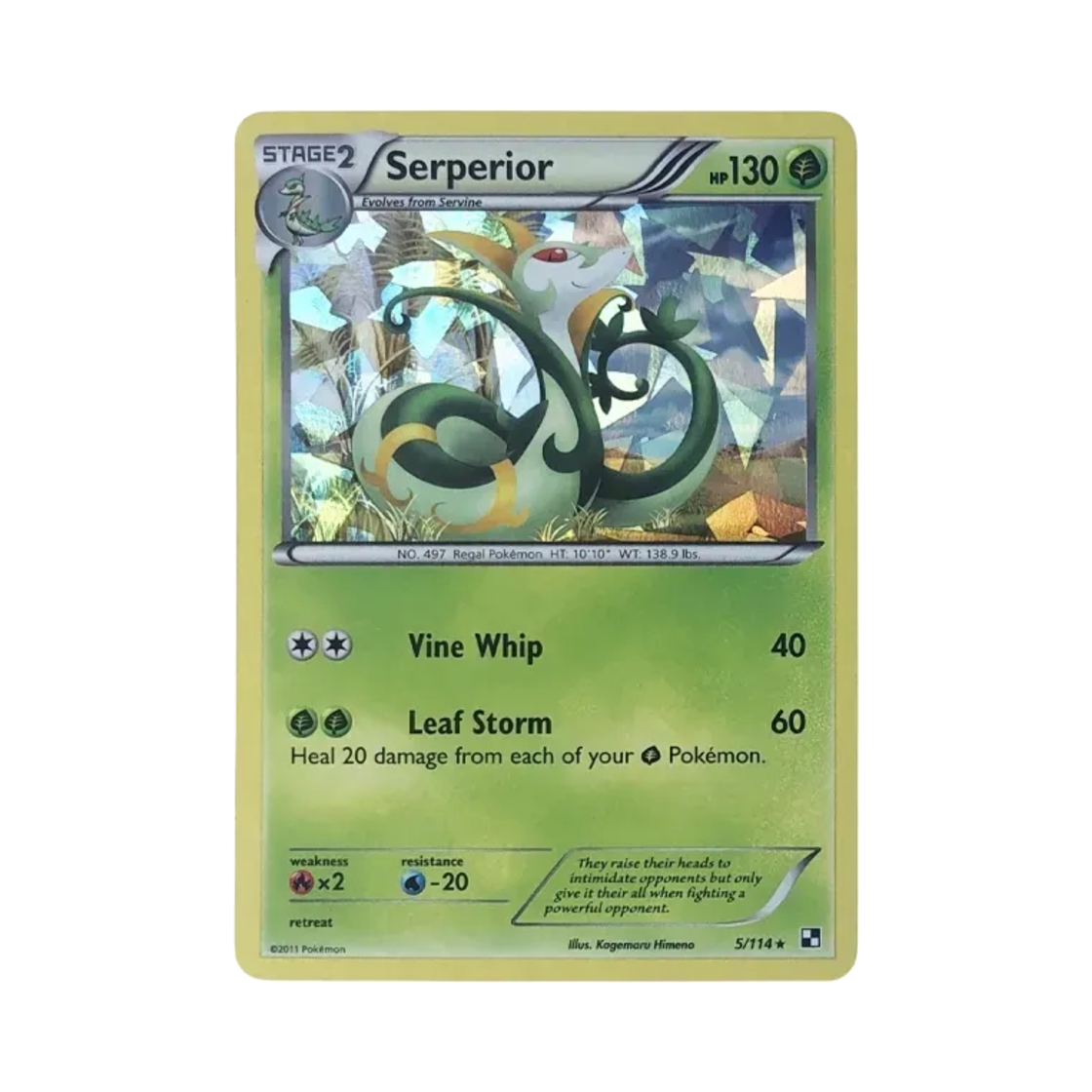 포켓몬 TCG 샤로다 U 블랙&화이트 테마 덱 그린 토네이도 홀로 카드 (영문판)(Pokemon TCG Servine U  Black & White Theme Deck Green Tornado Holo (English Ver.)) - 1