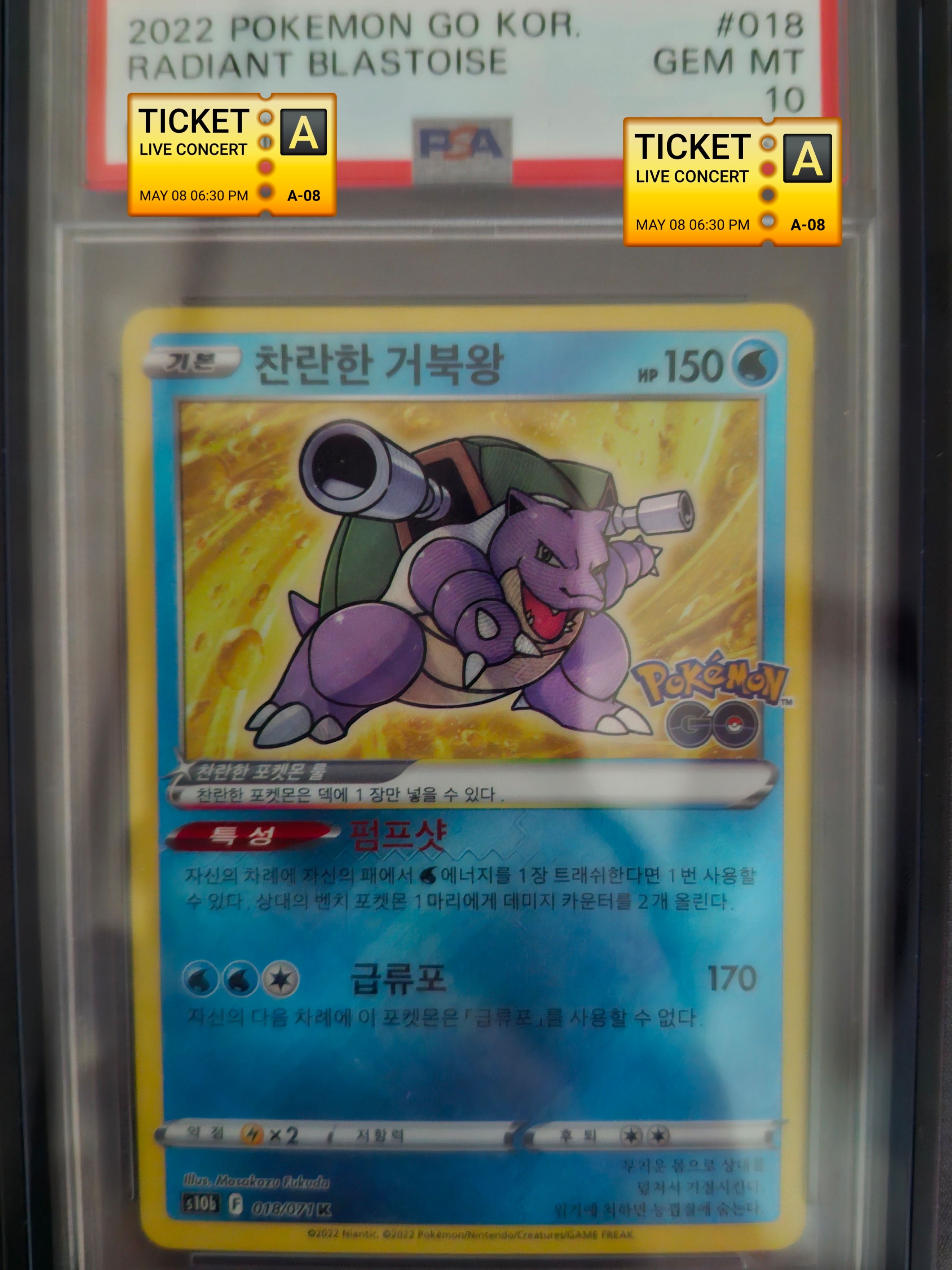 Pokemon TCG Radiant Blastoise K Pokemon Go (Korean Ver.) 착용 스타일