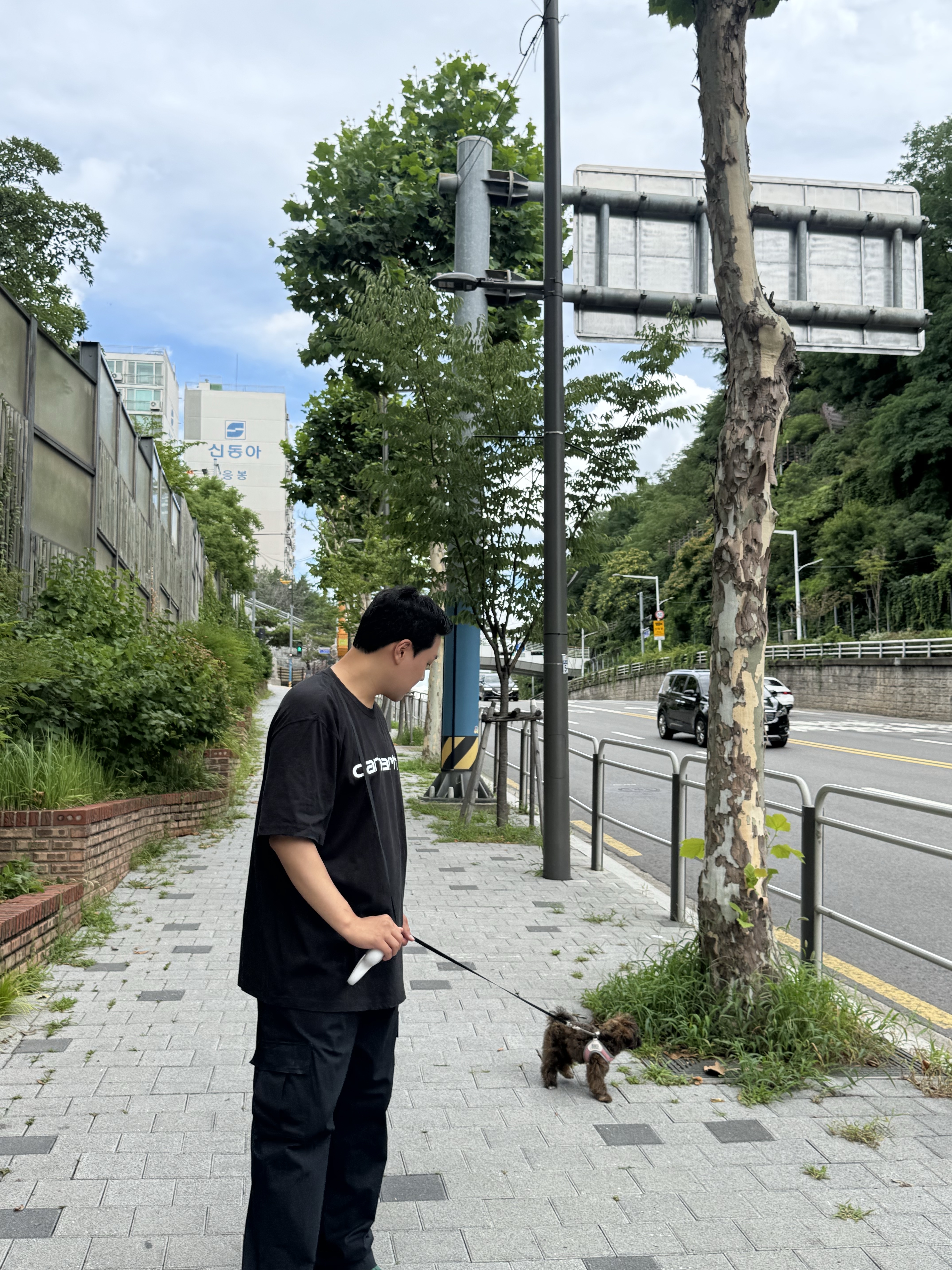 Nike Club Cargo Pants Black - Asia, Carhartt Loose Fit Heavyweight Regular Short Sleeve Logo Graphic T-Shirt Black 착용 스타일 - 5