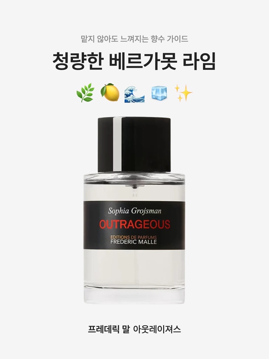 Frederic Malle Outrageous By Sophia Grojsman 100ml 착용 스타일 - 1
