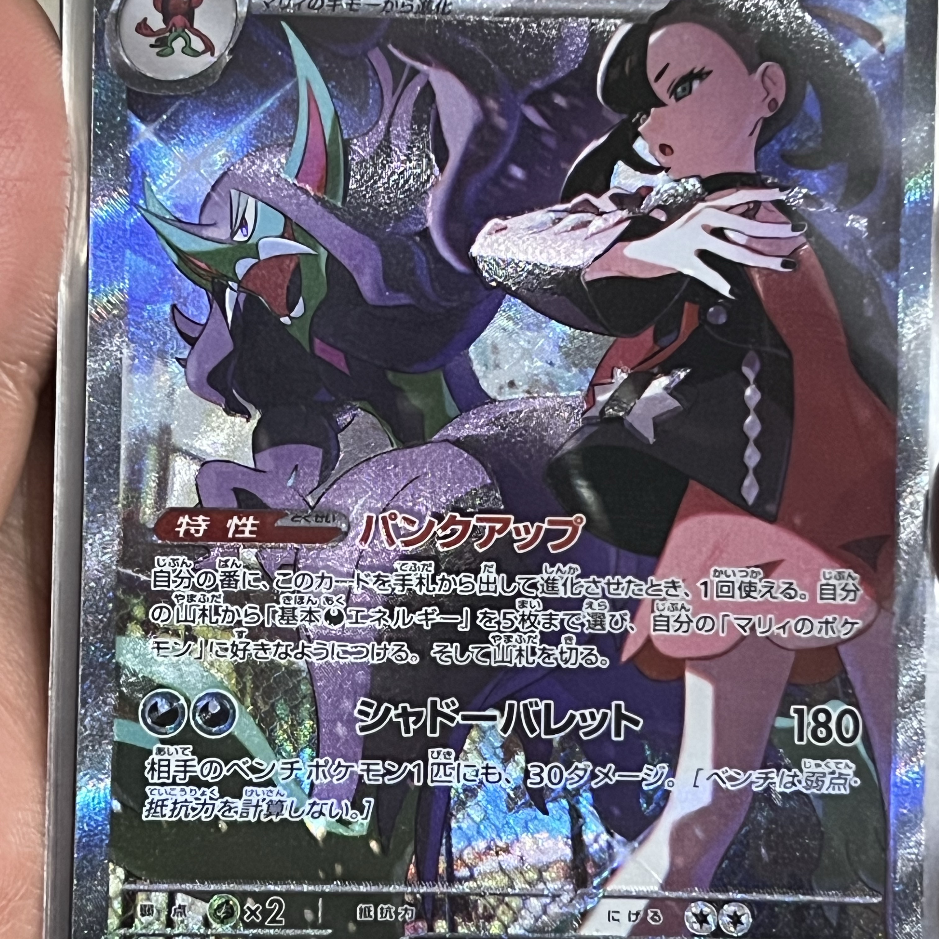 Pokemon TCG Mega High Class Pack MEGA Dream ex Box (Pack of 10/Japanese Ver.) 착용 스타일