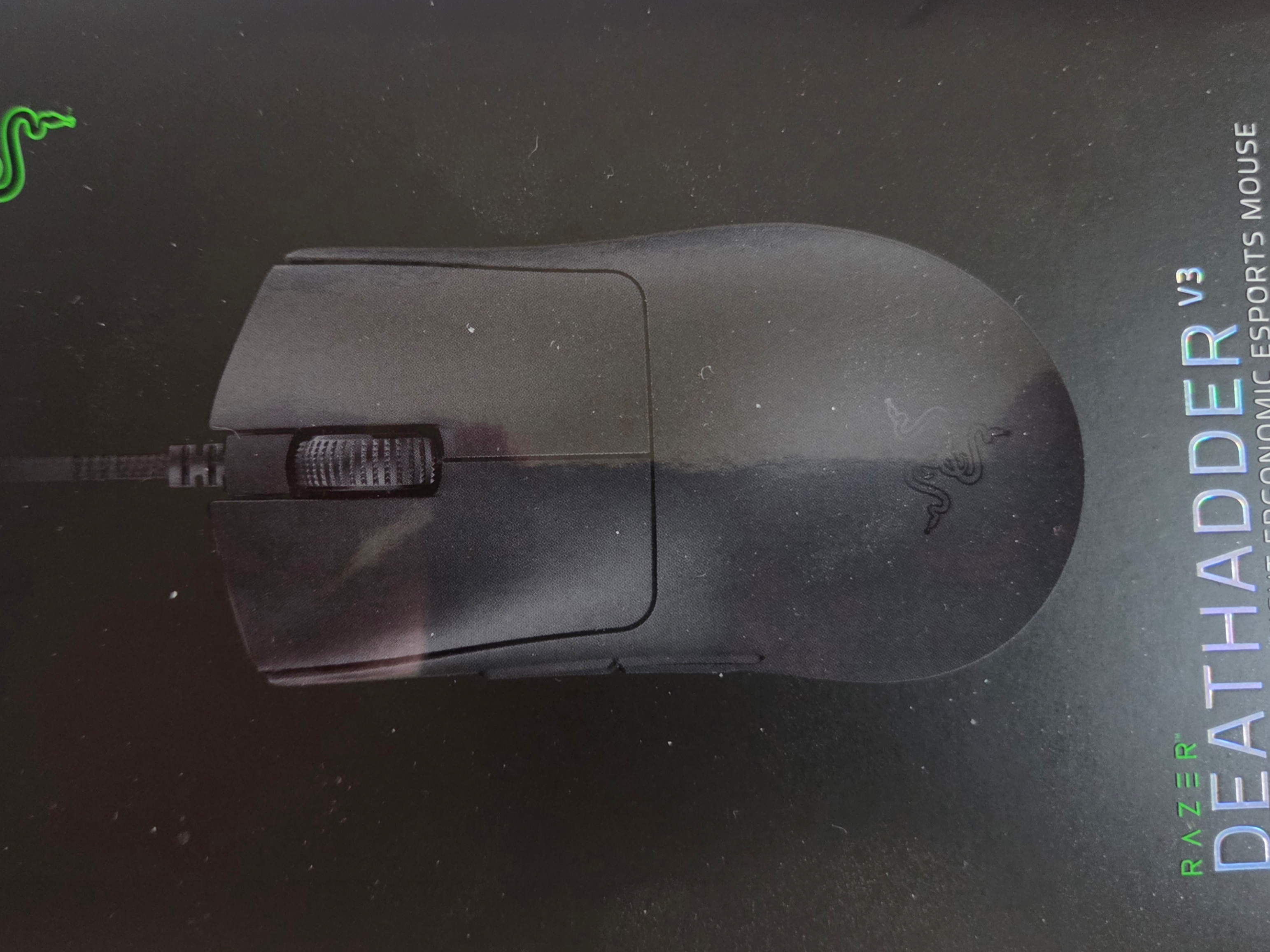Razer DeathAdder V3 착용 스타일