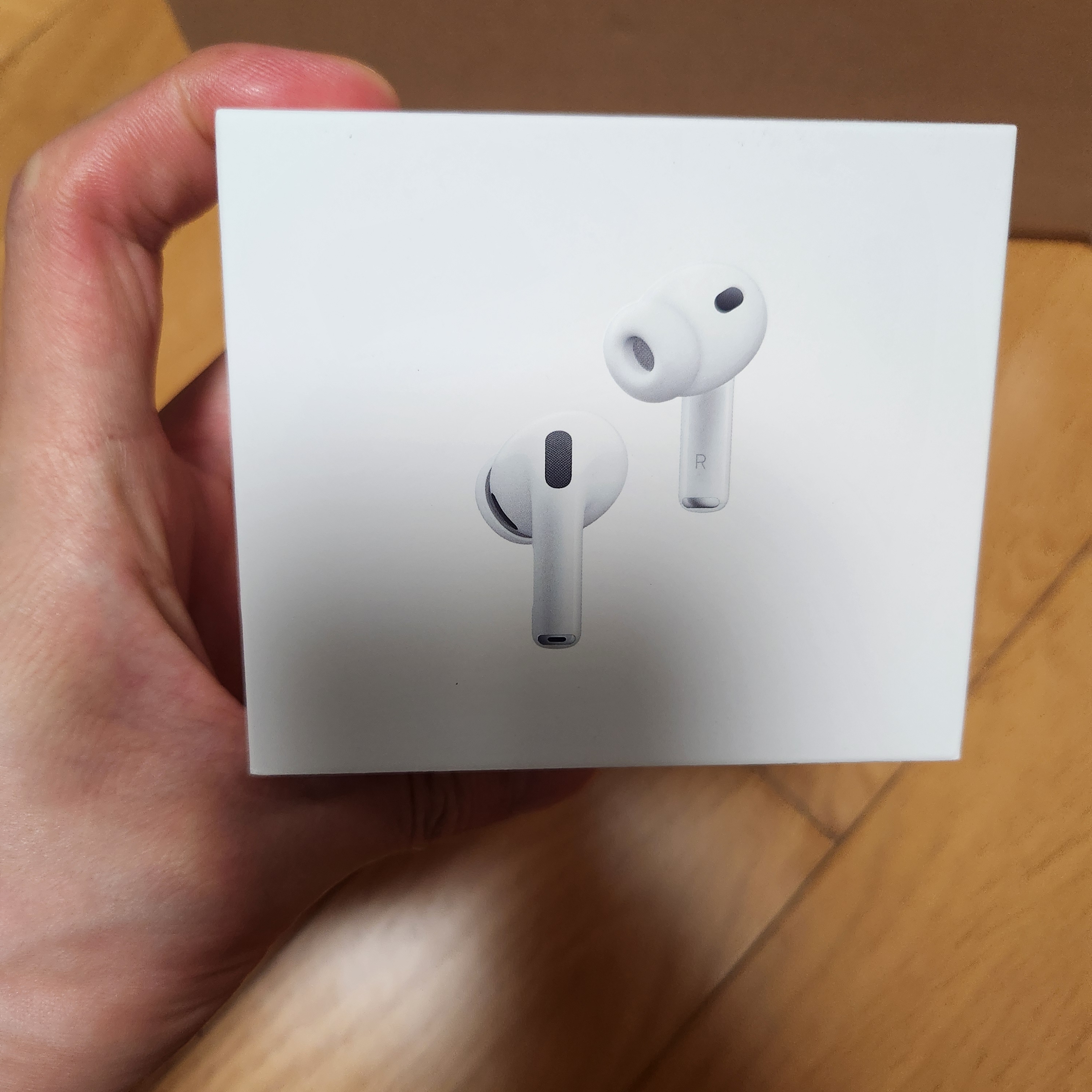Apple AirPods Pro 3rd Gen (Korean Ver.) 착용 스타일