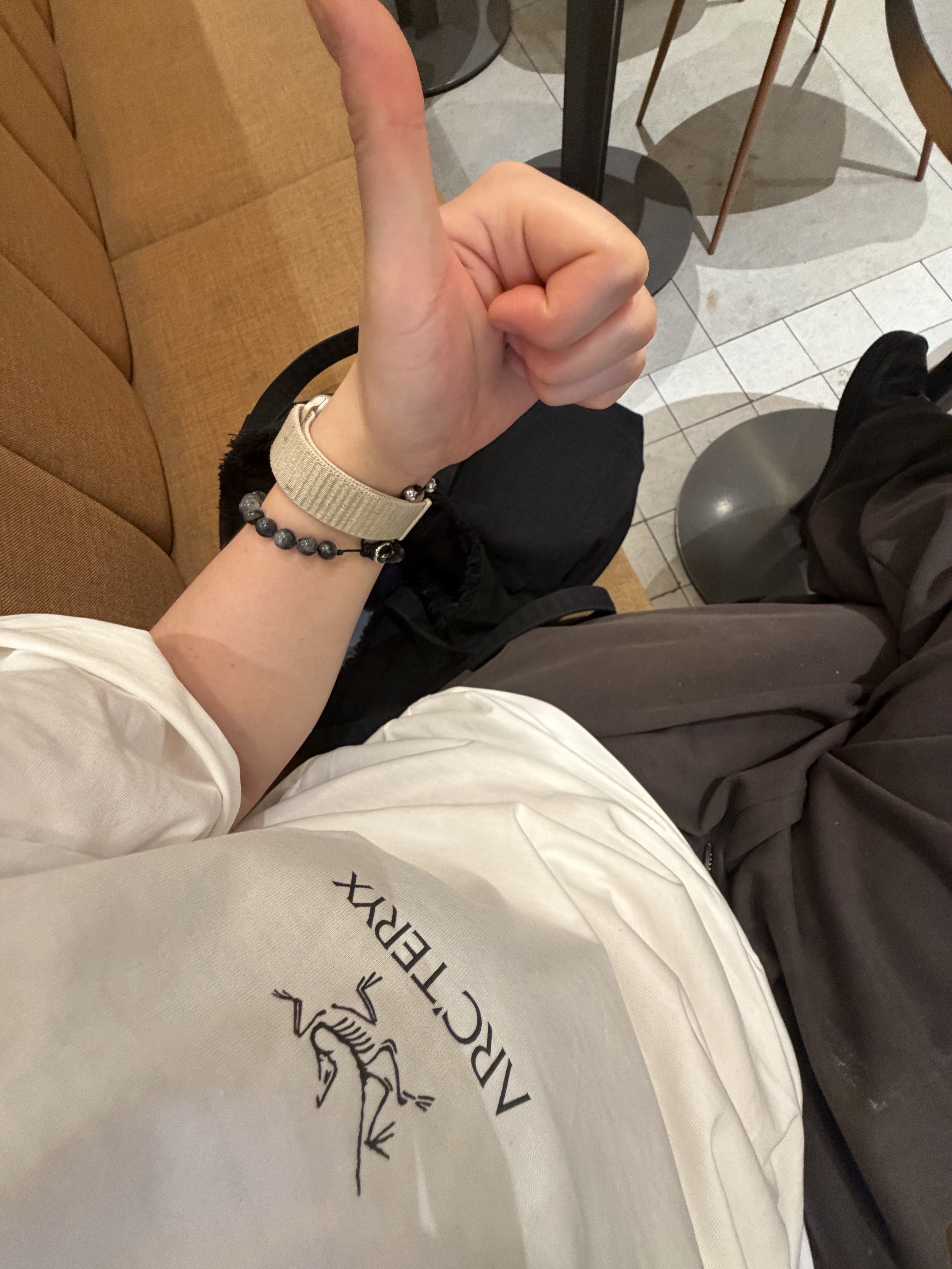 Arc'teryx Kragg SL Cotton Bird Word SS T-Shirt White Light Black 착용 스타일 - 1
