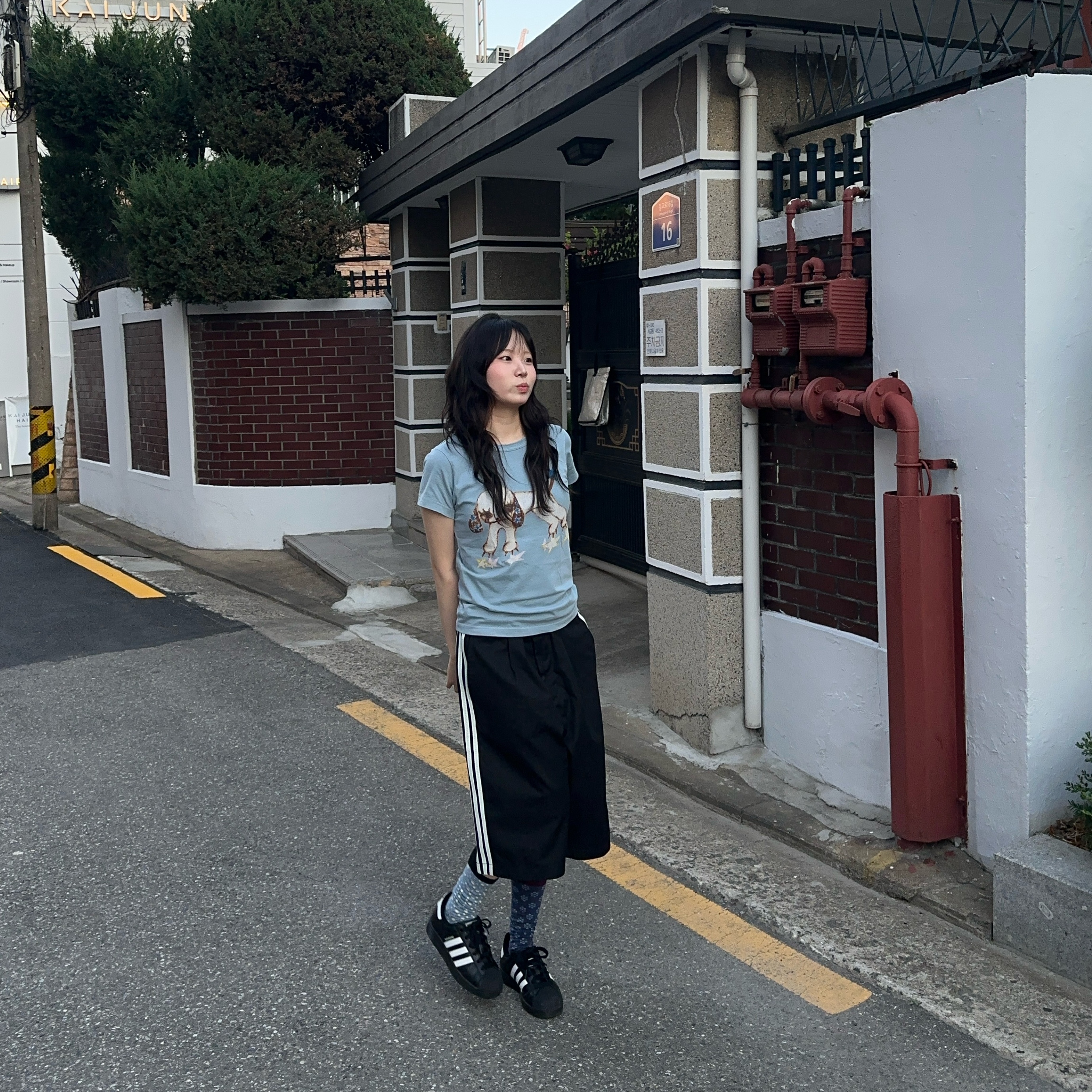 COYSEIO Vintage Puppy T-Shirt Cloud Blue, COYSEIO Dual Pattern Socks Multi 착용 스타일 - 1