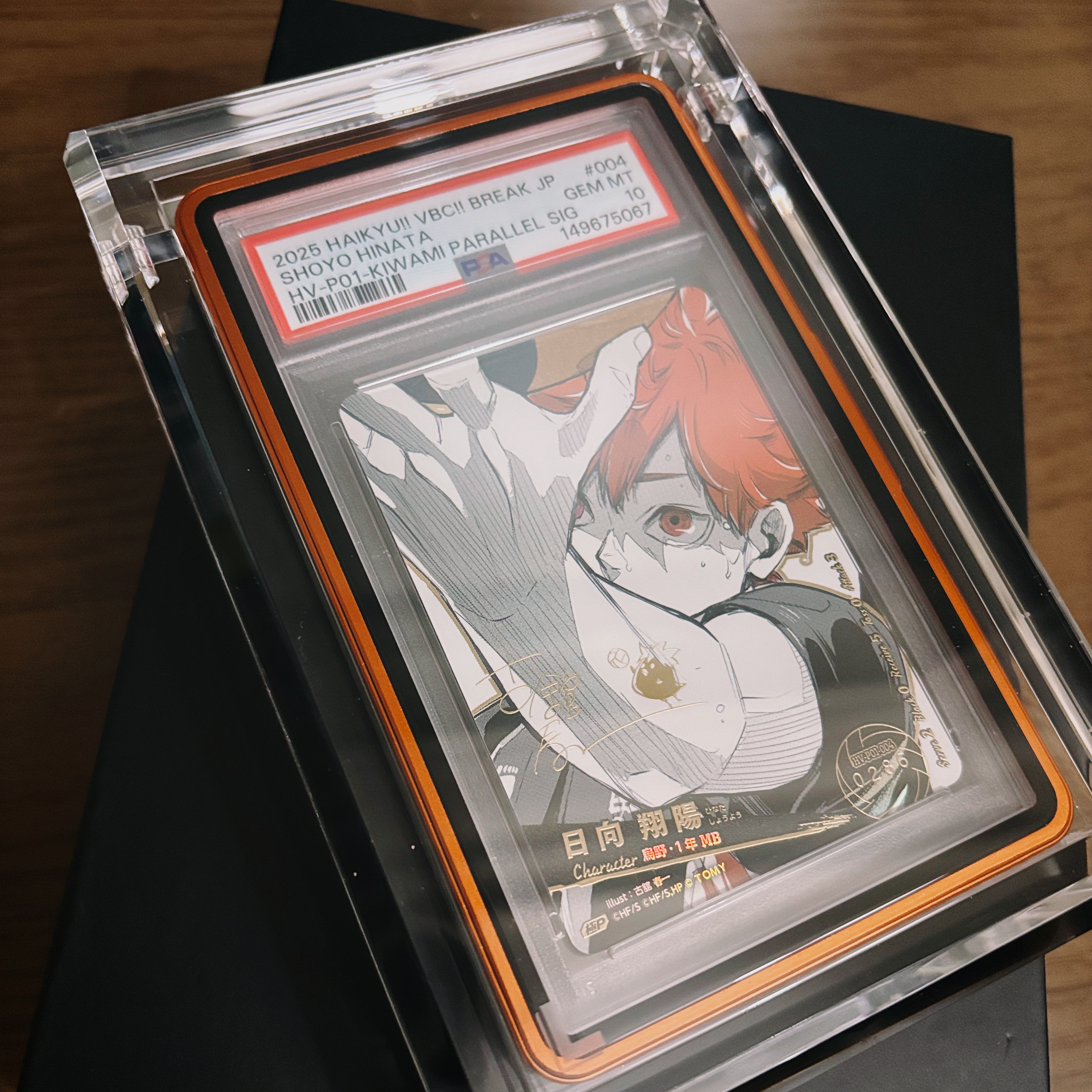 Locky PSA Crystal Acrylic Case 착용 스타일