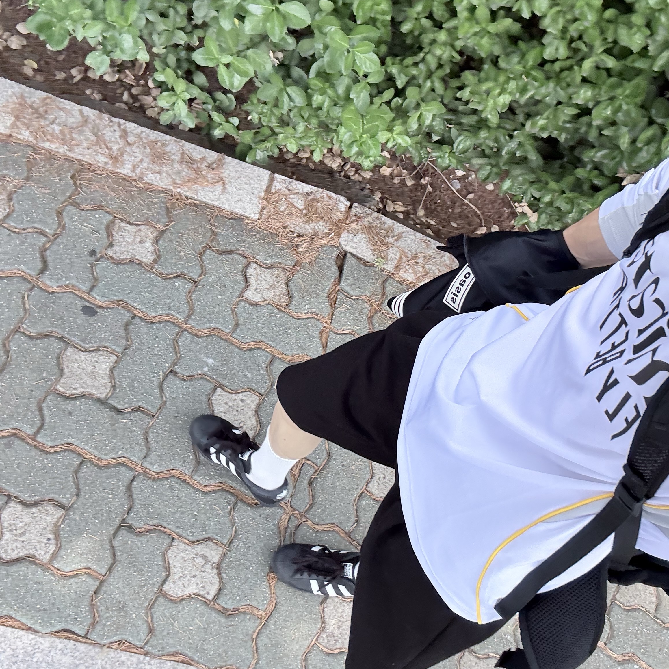 Adidas Superstar 82 Core Black Cloud White, Adidas x Oasis Tour Firebird Track Top Black - KR Sizing 착용 스타일 - 1