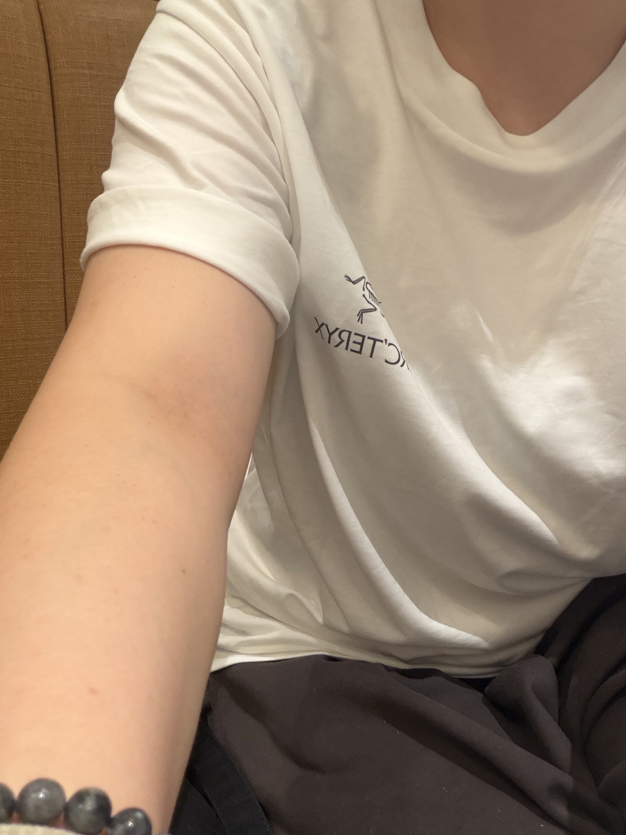 Arc'teryx Kragg SL Cotton Bird Word SS T-Shirt White Light Black 착용 스타일 - 2