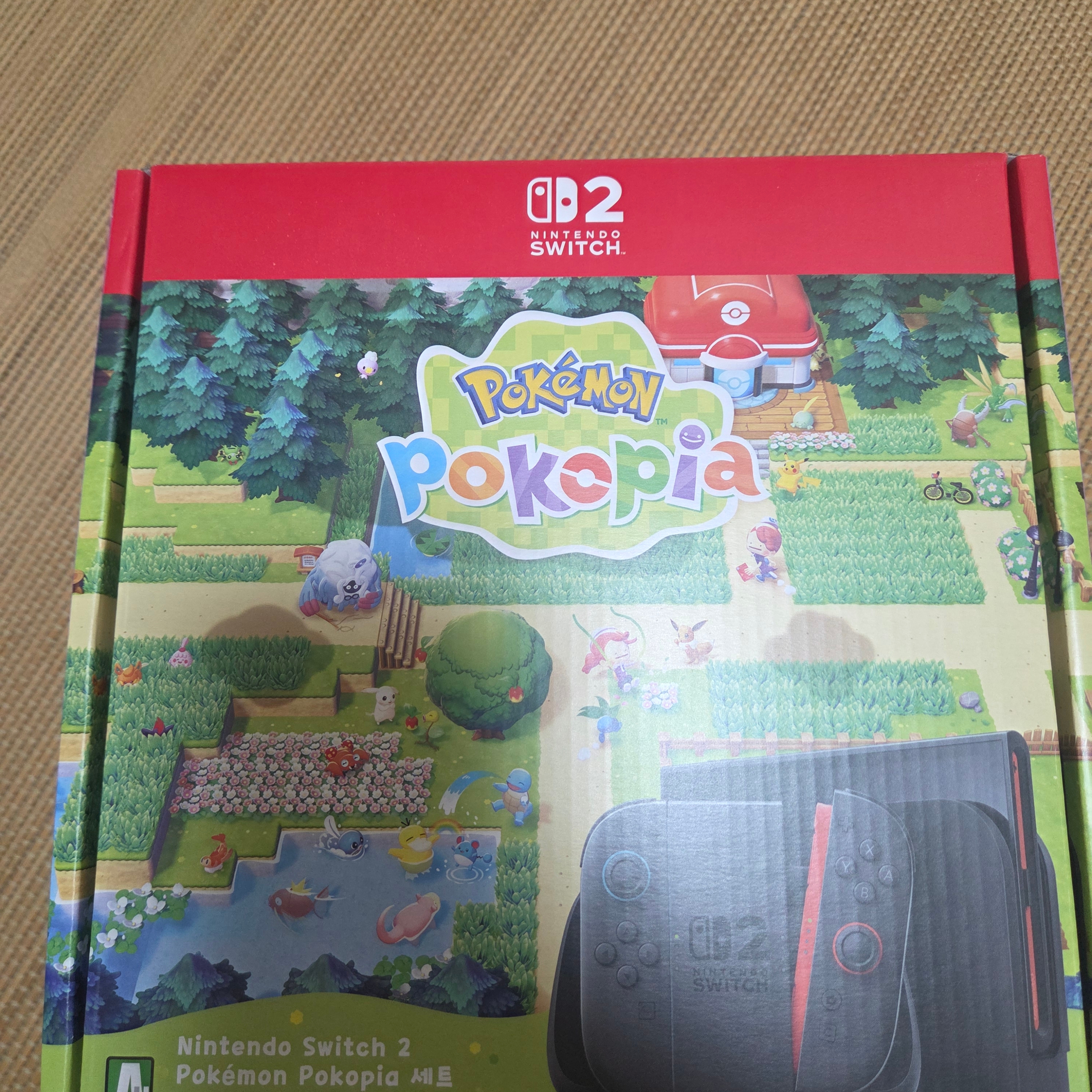 Nintendo Switch 2 Pokemon Pokopia Set (With Software/Korean Ver.) 착용 스타일 - 1