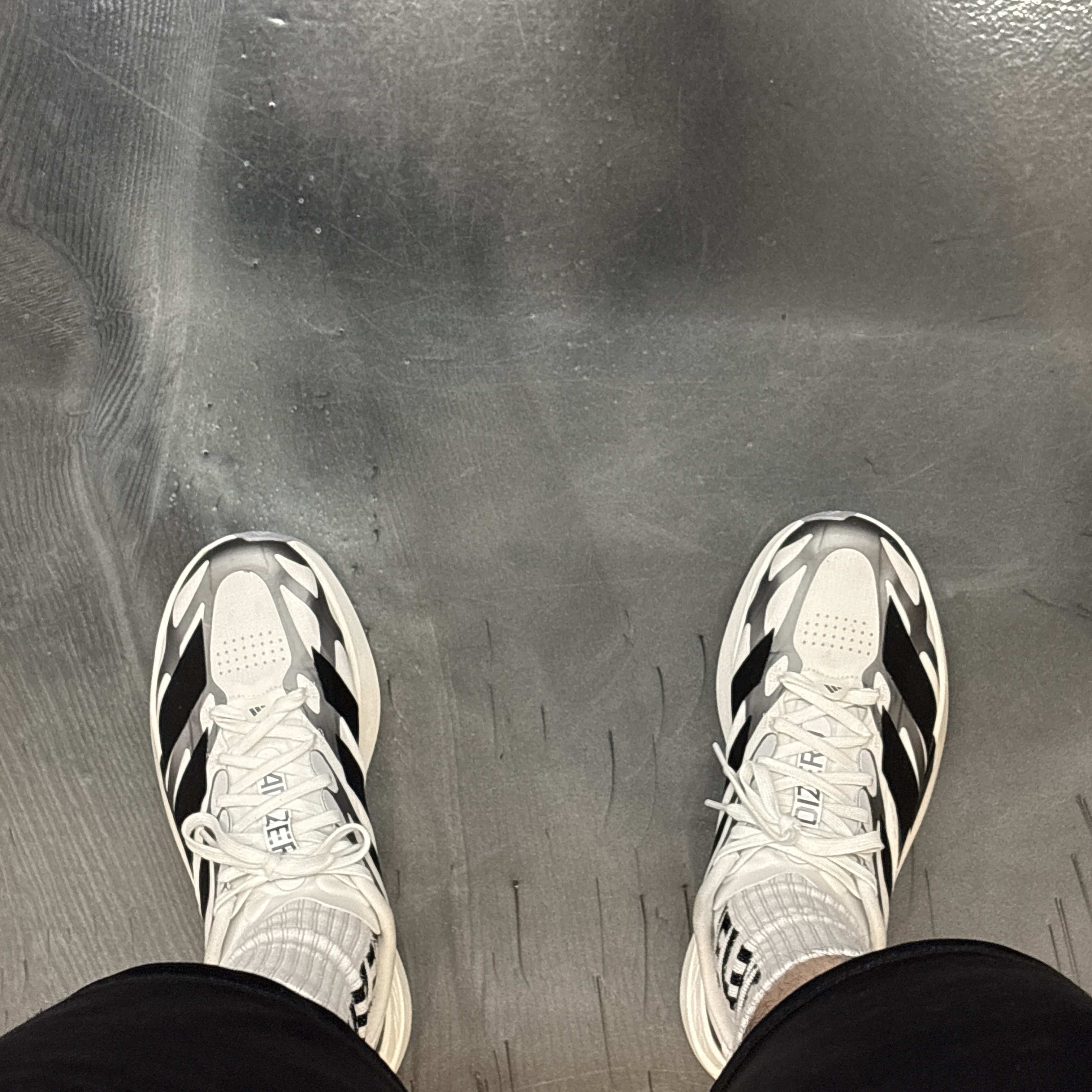 Adidas Adizero EVO SL EXO Cloud White Core Black 착용 스타일