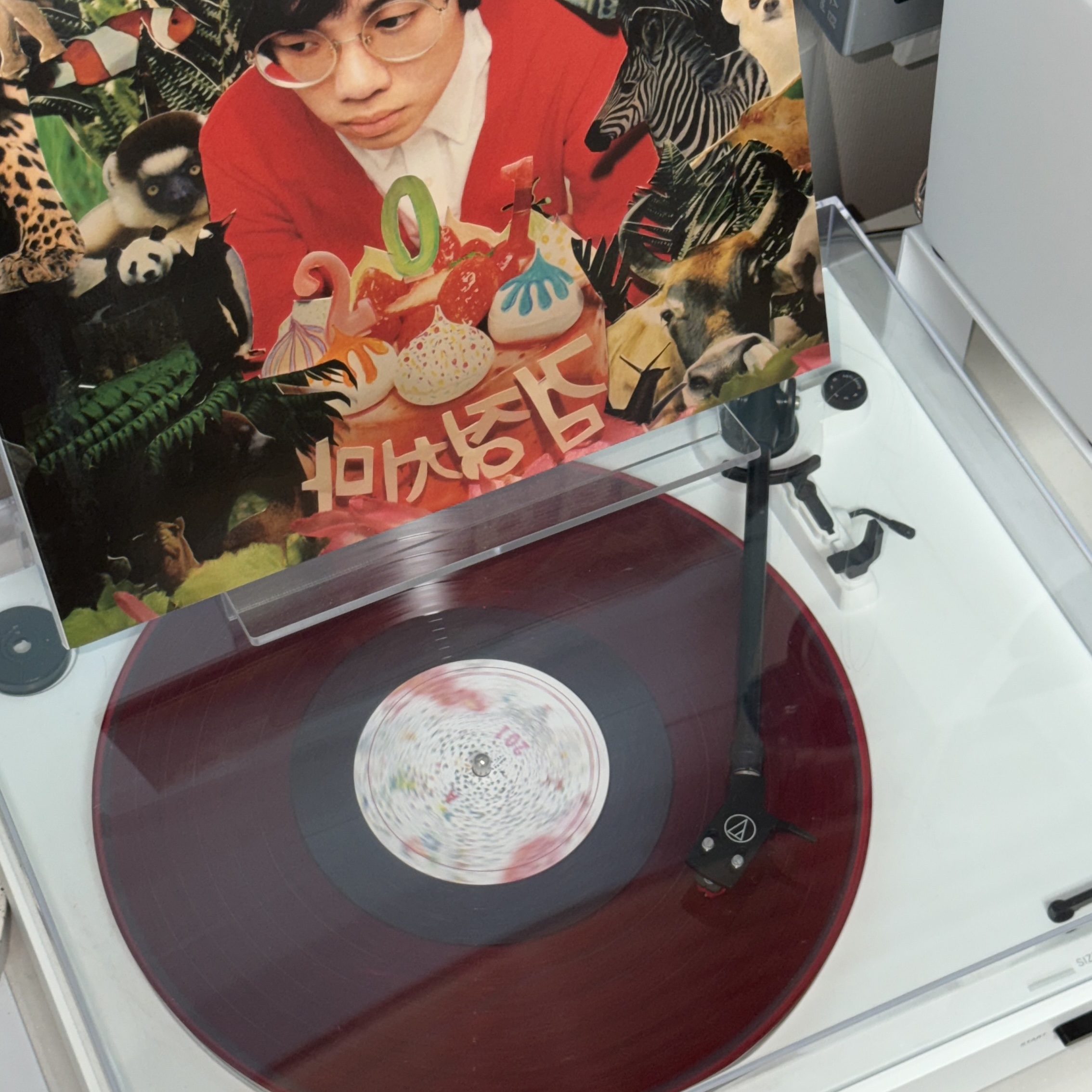 The Black Skirts 1st Album 201 LP Red Glitter, Audio-Technica AT-LP3XBT Automatic Belt-Drive Turntable (Wireless & Analog) White 착용 스타일 - 1