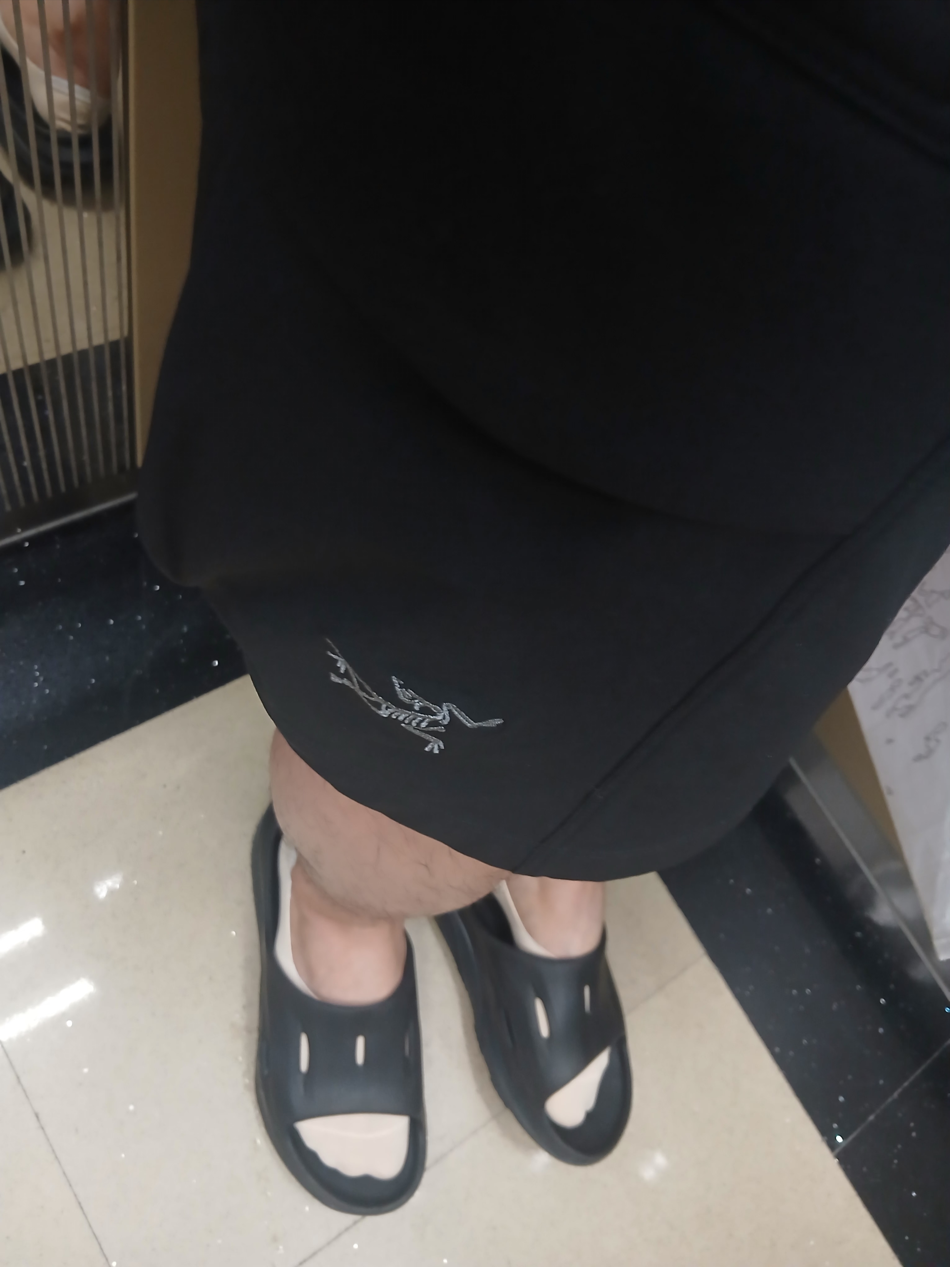 Arc'teryx Arc'Multi Bird Logo SS T-Shirt White Light, Arc'teryx Rampart Shorts 9 Inch Black 착용 스타일 - 2