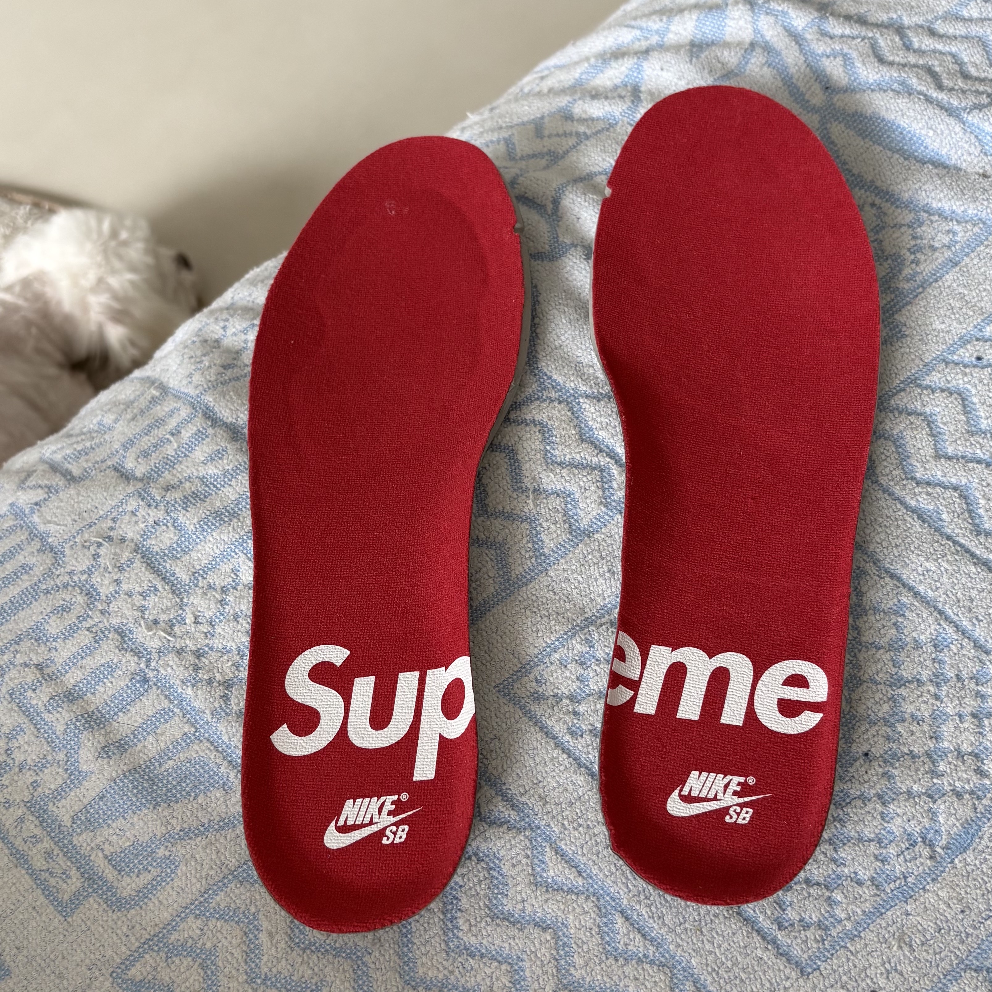Nike x Supreme SB Dunk Low Hyper Blue 착용 스타일 - 4