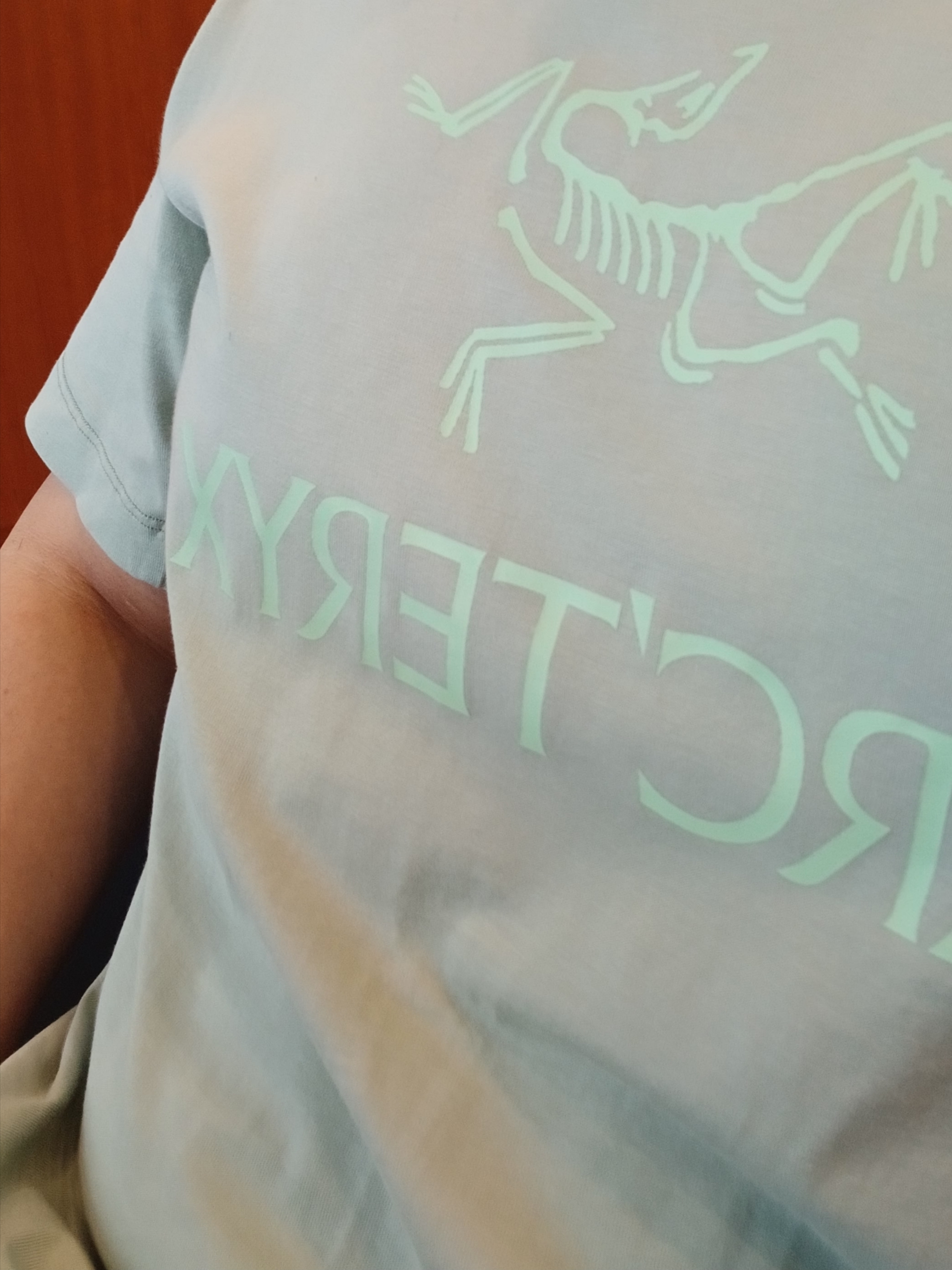 Arc'teryx Arc'word Logo SS T-Shirt Stone Green, Arc'teryx Kragg Cotton Short 9 Inch Black 착용 스타일 - 6