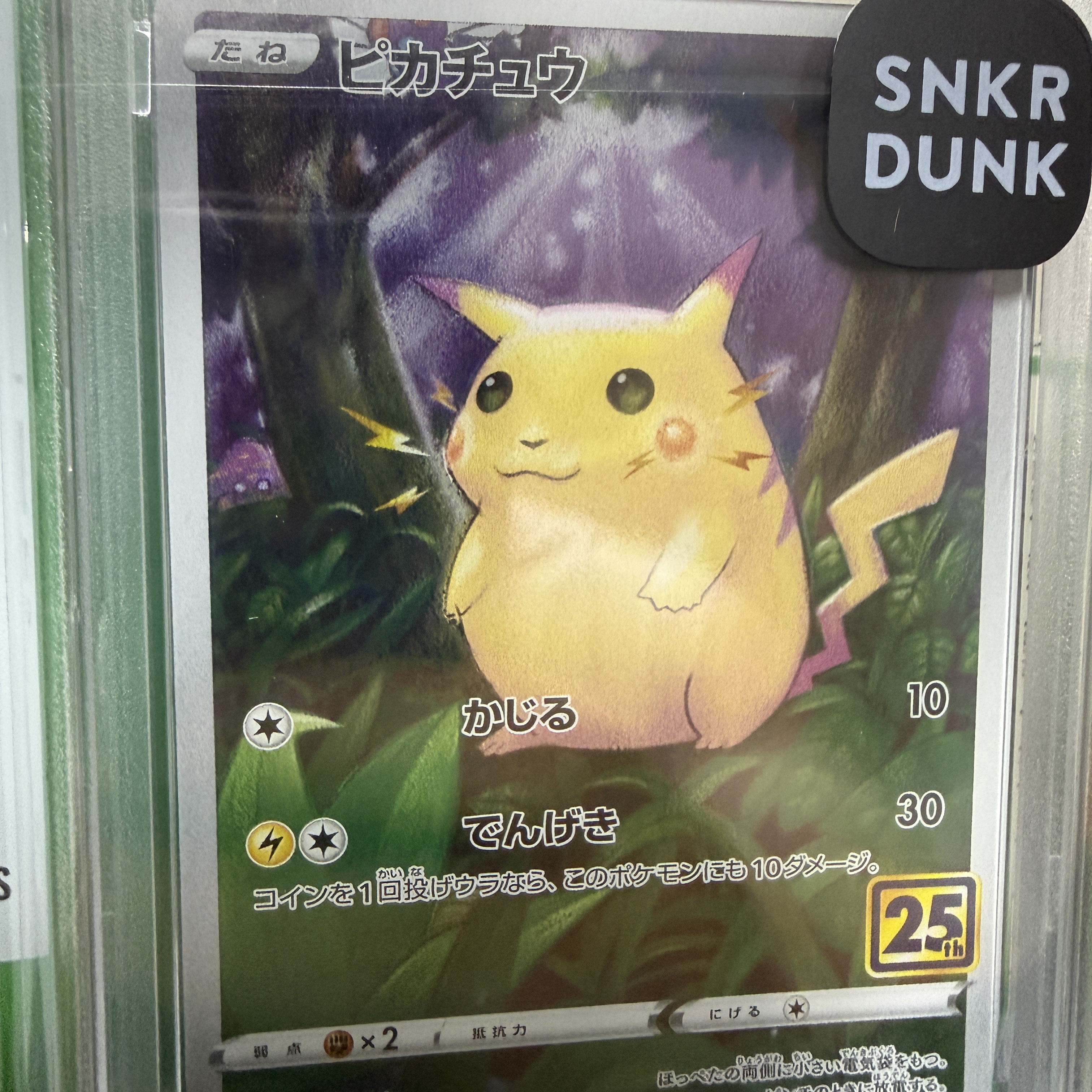 Pokemon TCG Pikachu 25Th Anniversary Collection (Japanese Ver.) 착용 스타일