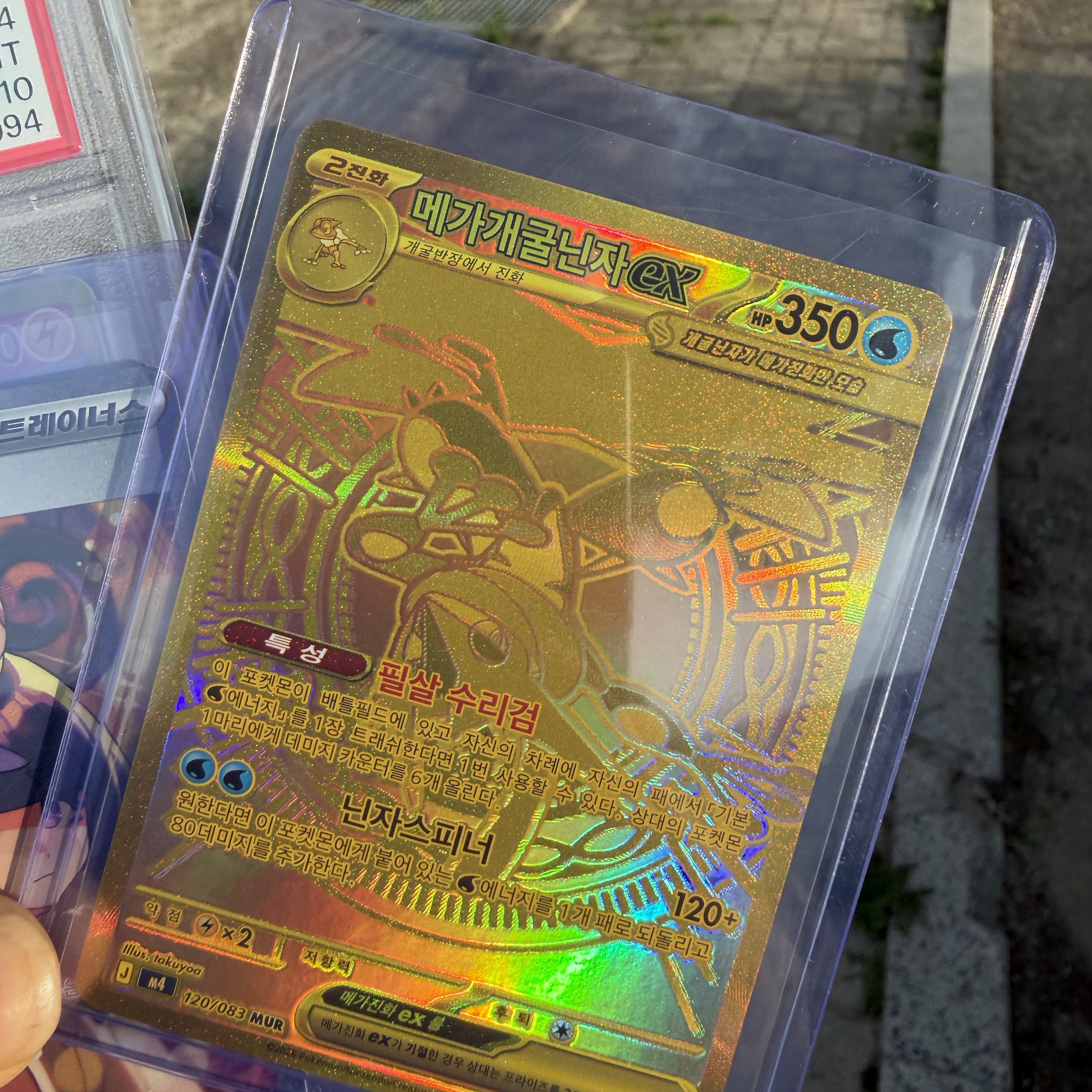 Pokemon TCG Mega Greninja ex MUR Ninja Spinner (Korean Ver.) 착용 스타일