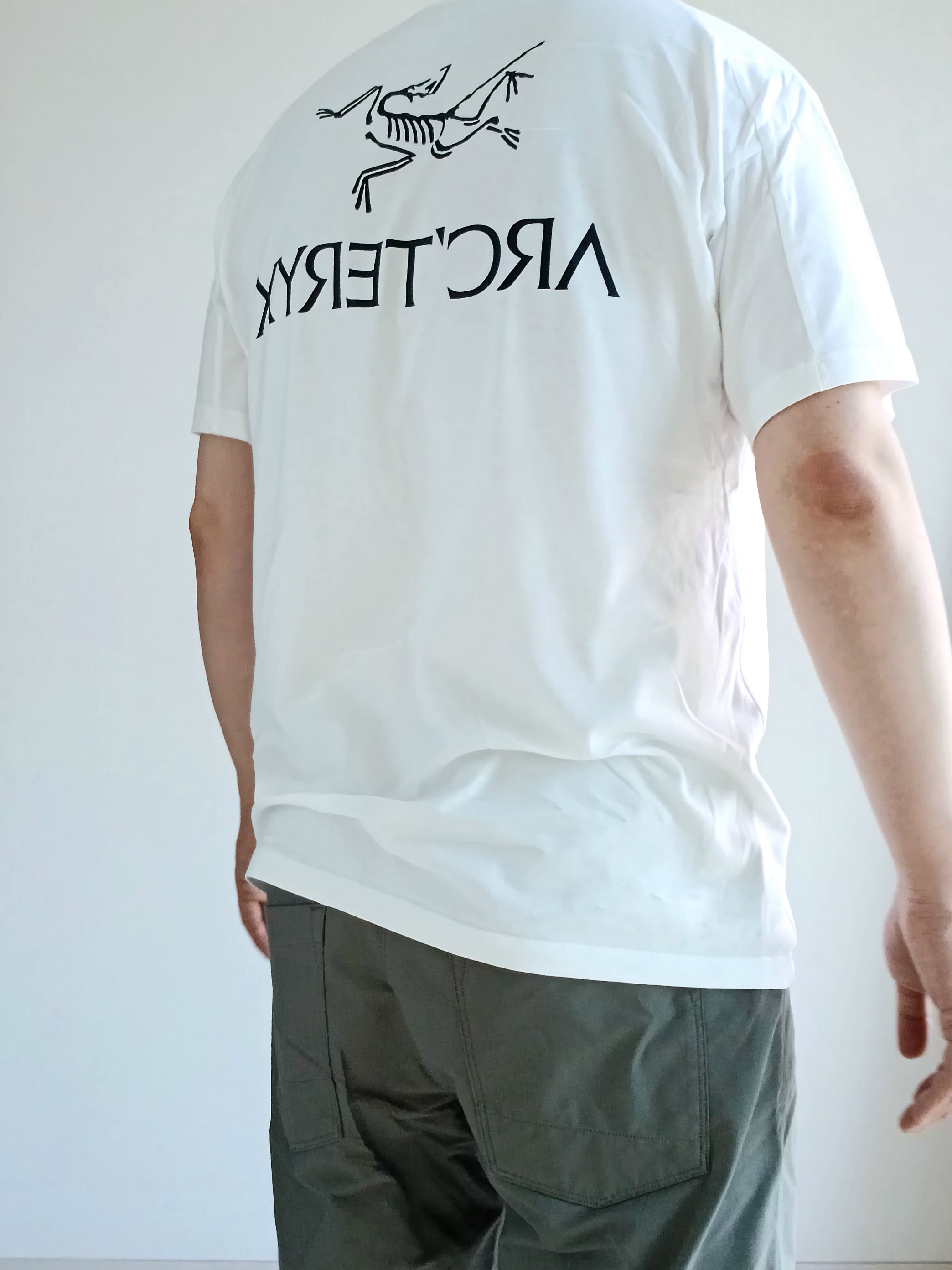 Arc'teryx Kragg SL Cotton Bird Word SS T-Shirt White Light Black, Arc'teryx Kragg Cotton Short 9 Inch Forage 착용 스타일 - 1