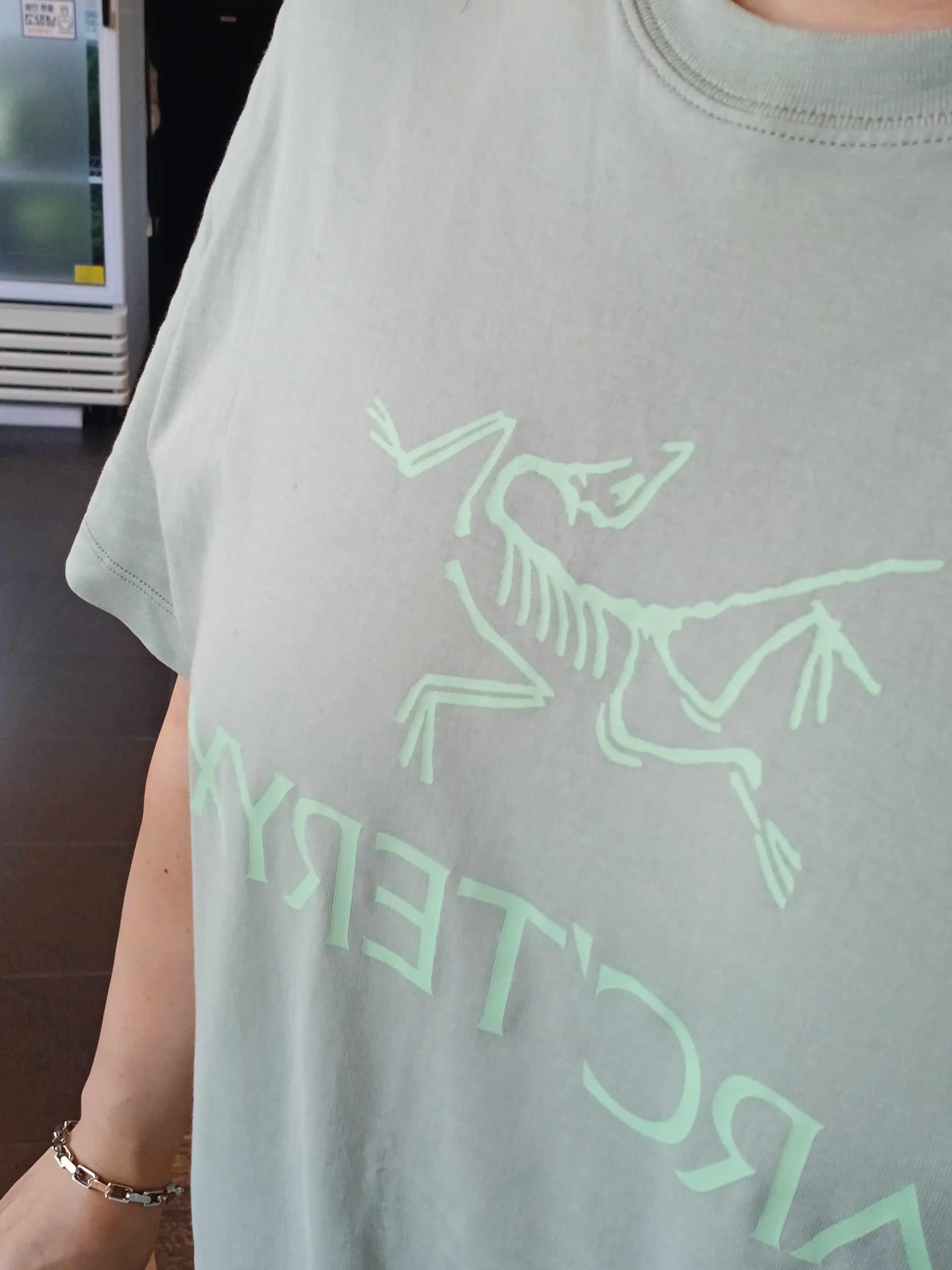 Arc'teryx Arc'word Logo SS T-Shirt Stone Green, Arc'teryx Kragg Cotton Short 9 Inch Black 착용 스타일 - 2
