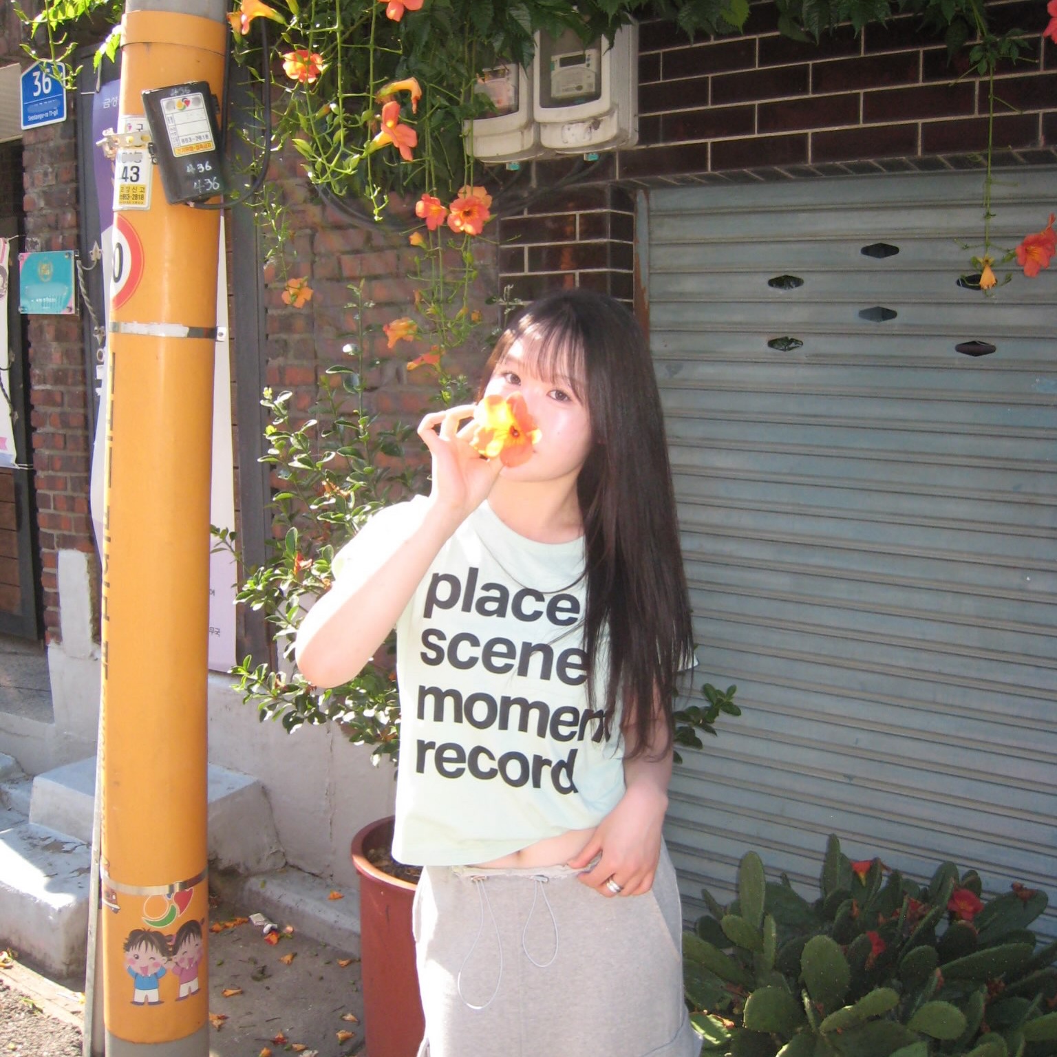 SLOW RECORD HOUSE Archive Typo T-Shirt Lime 착용 스타일 - 4