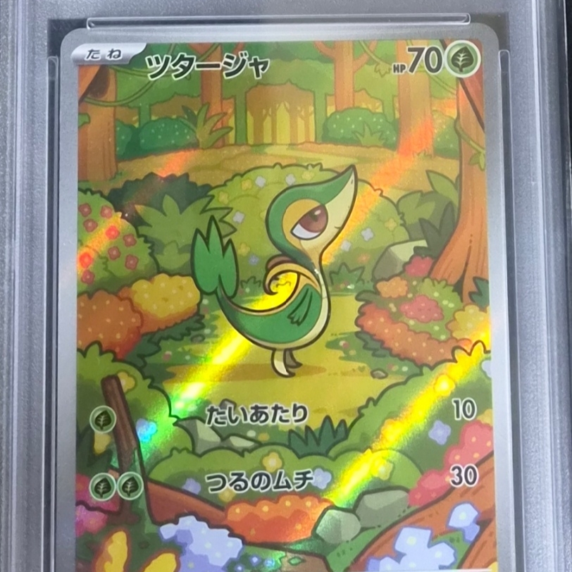 Pokemon TCG Snivy AR Black Bolt (Japanese Ver.) 착용 스타일