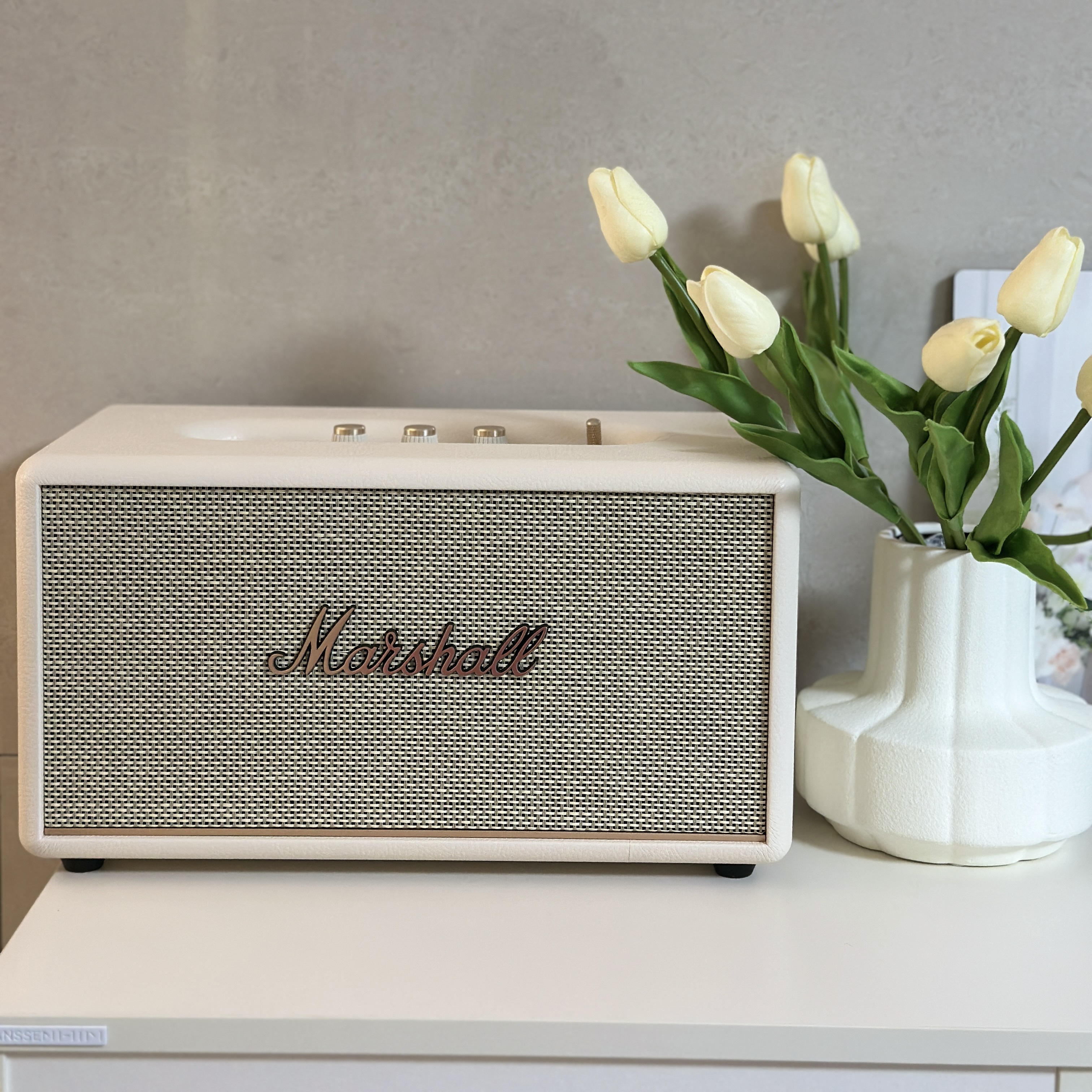 Marshall Stanmore III Bluetooth Cream (Korean Ver.) 착용 스타일