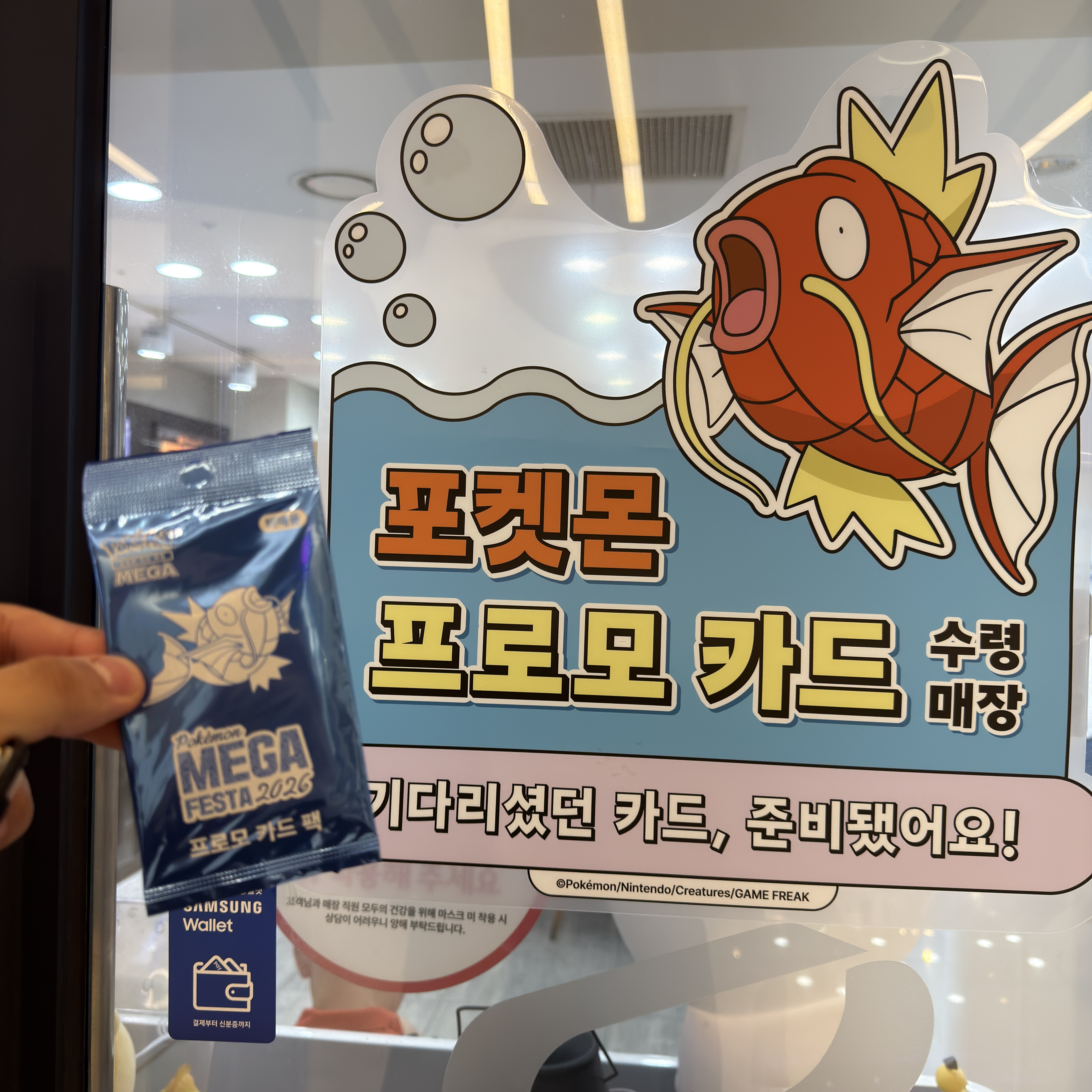 Pokemon TCG Mega Festa 2026 Promo Card Magikarp 착용 스타일