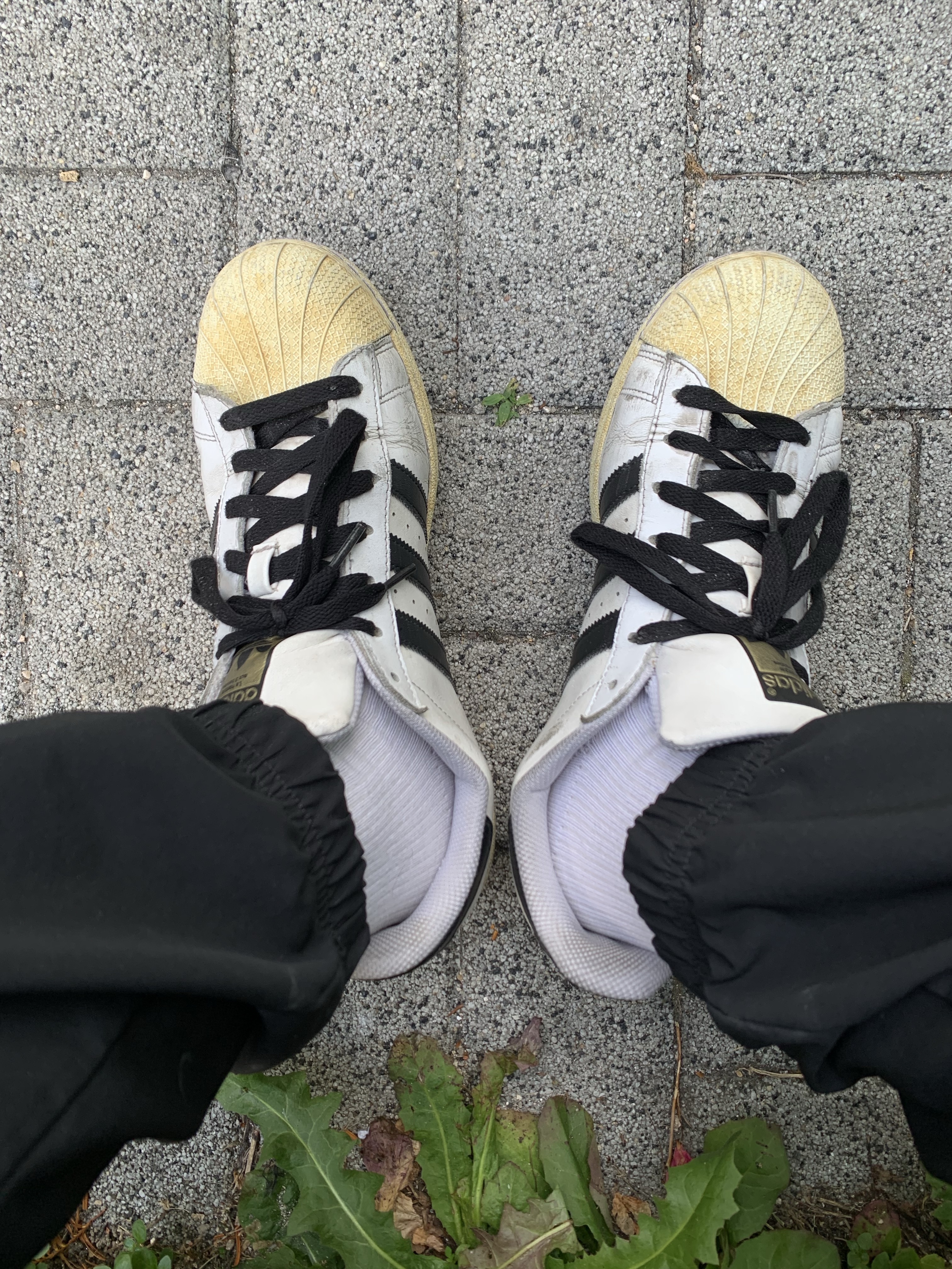 Adidas Superstar White Black 착용 스타일 - 2