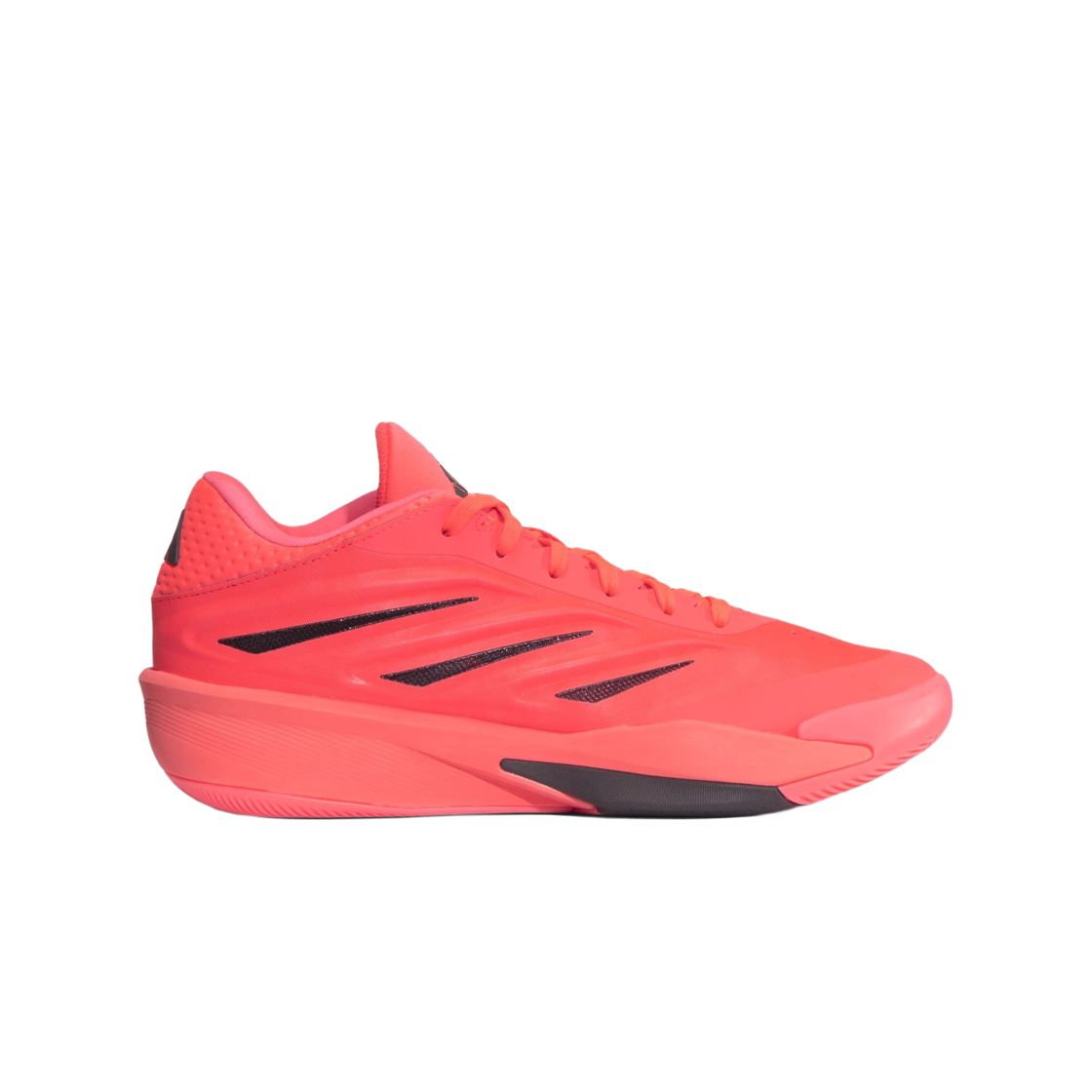 아디다스 퍼포먼스 크레이지 에너지 재팬 솔라 터보 오로라 오닉스(Adidas Performance Crazy Energy Japan Solar Turbo Aurora Onix)