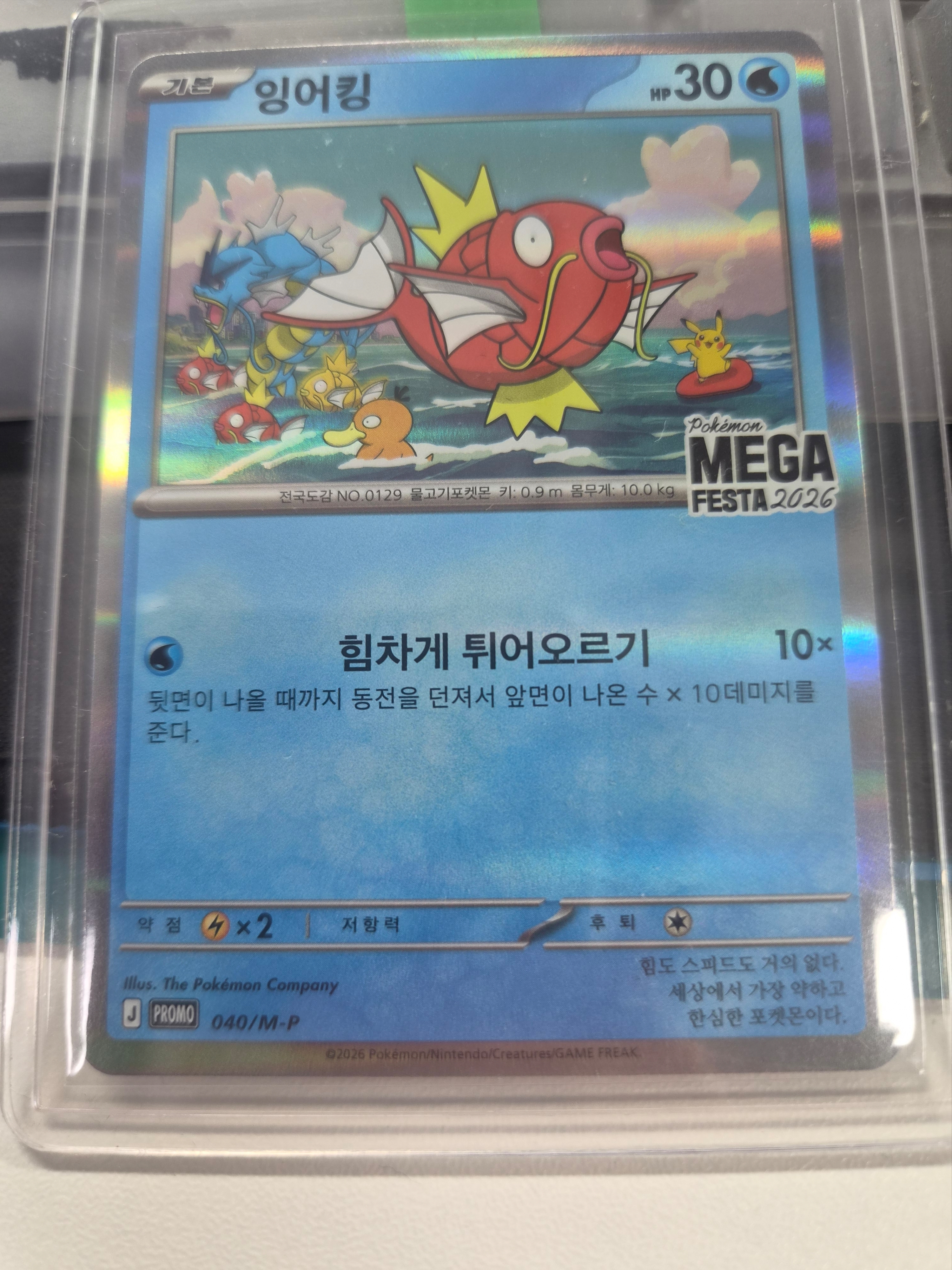Pokemon TCG Mega Festa 2026 Promo Card Magikarp 착용 스타일 - 1