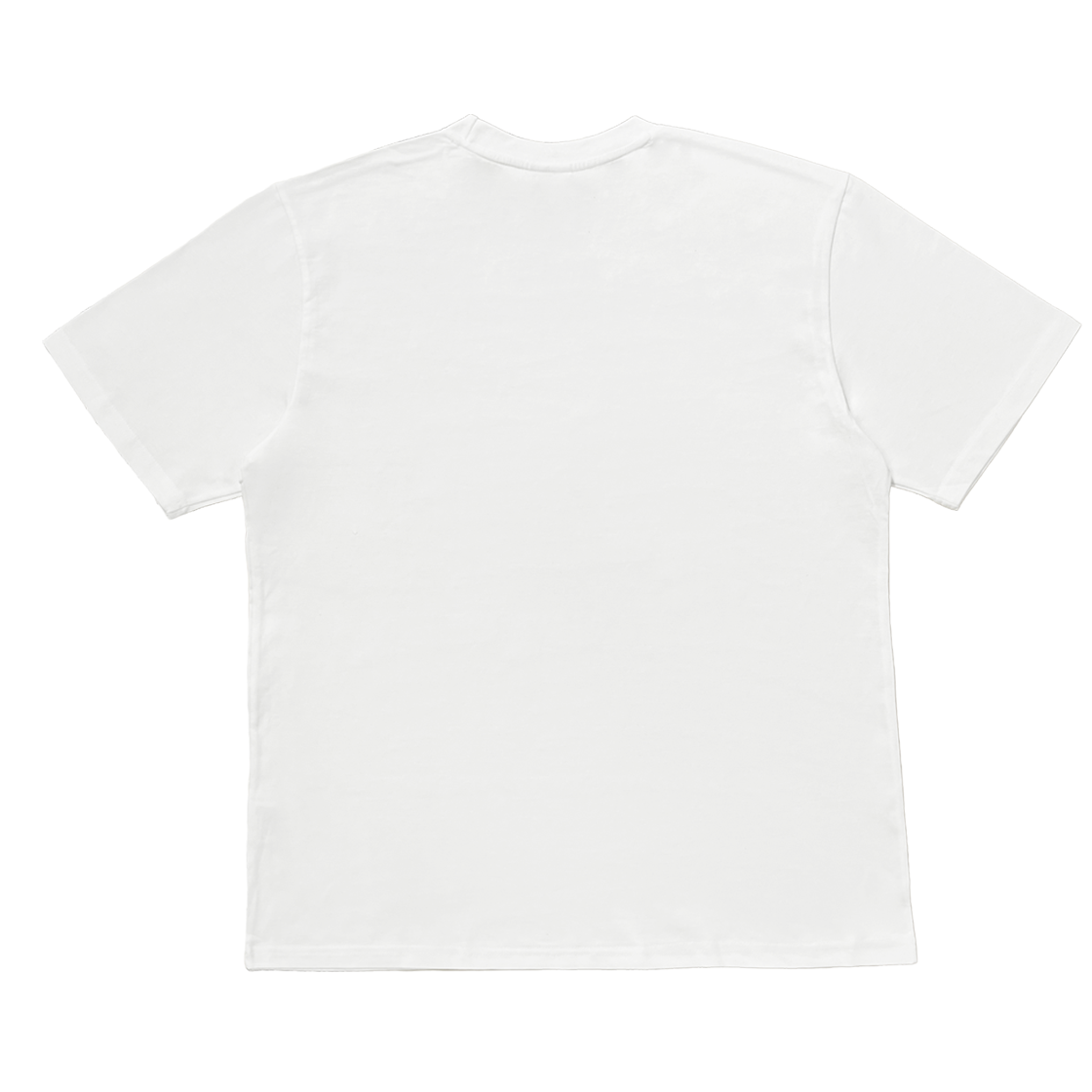 김씨네과일 포켓몬 금요일 티셔츠 피죤(Kim's Fruits Pokémon FRI T-Shirt PIJON) - 2