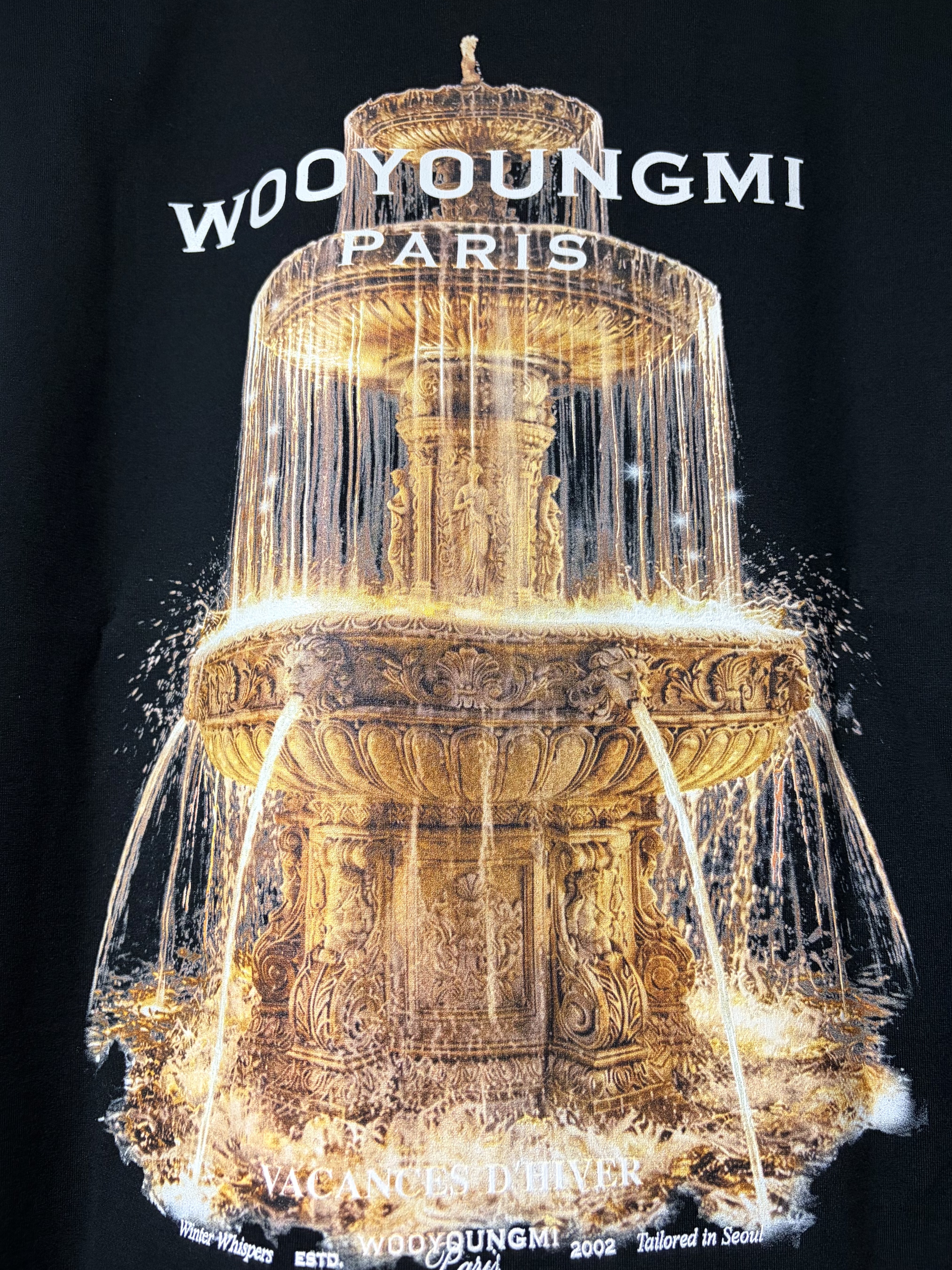 Wooyoungmi Fountain Graphic T-Shirt Black - 26FW 착용 스타일 - 3