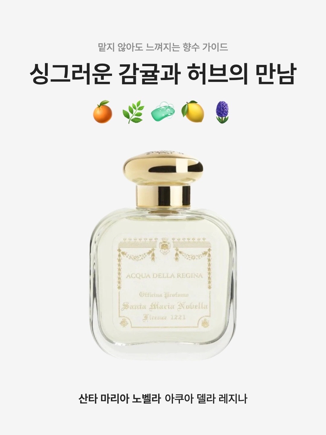 Santa Maria Novella Acqua della Regina Eau de Cologne 50ml, Santa Maria Novella Acqua Della Regina Fluid Body Cream 250ml Glass Edition 착용 스타일 - 1