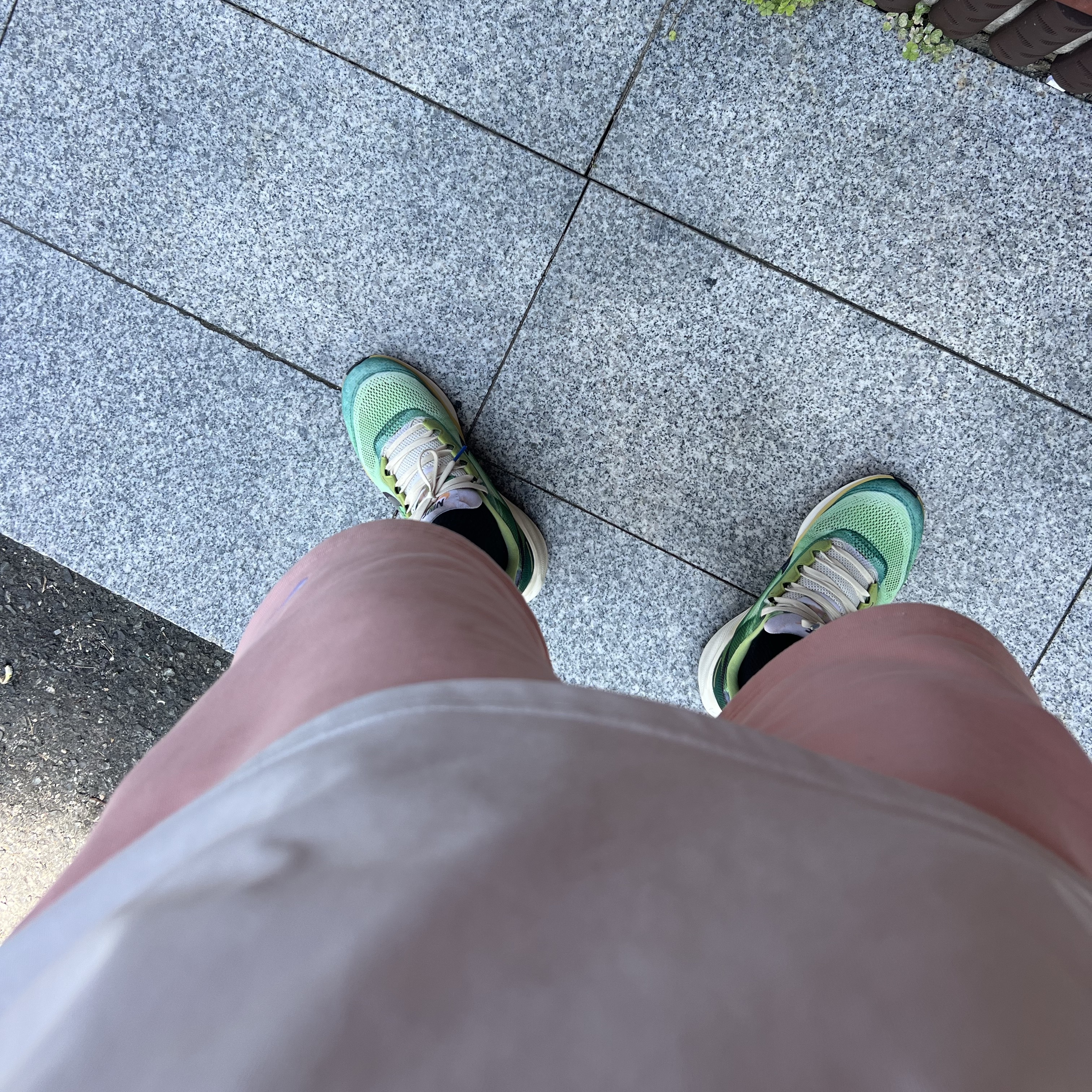 Nike Air Zoom Pegasus 41 Multi Color Vivid Green, Nike NRG Solo Swoosh Fleece Shorts Bleached Coral - Asia 착용 스타일