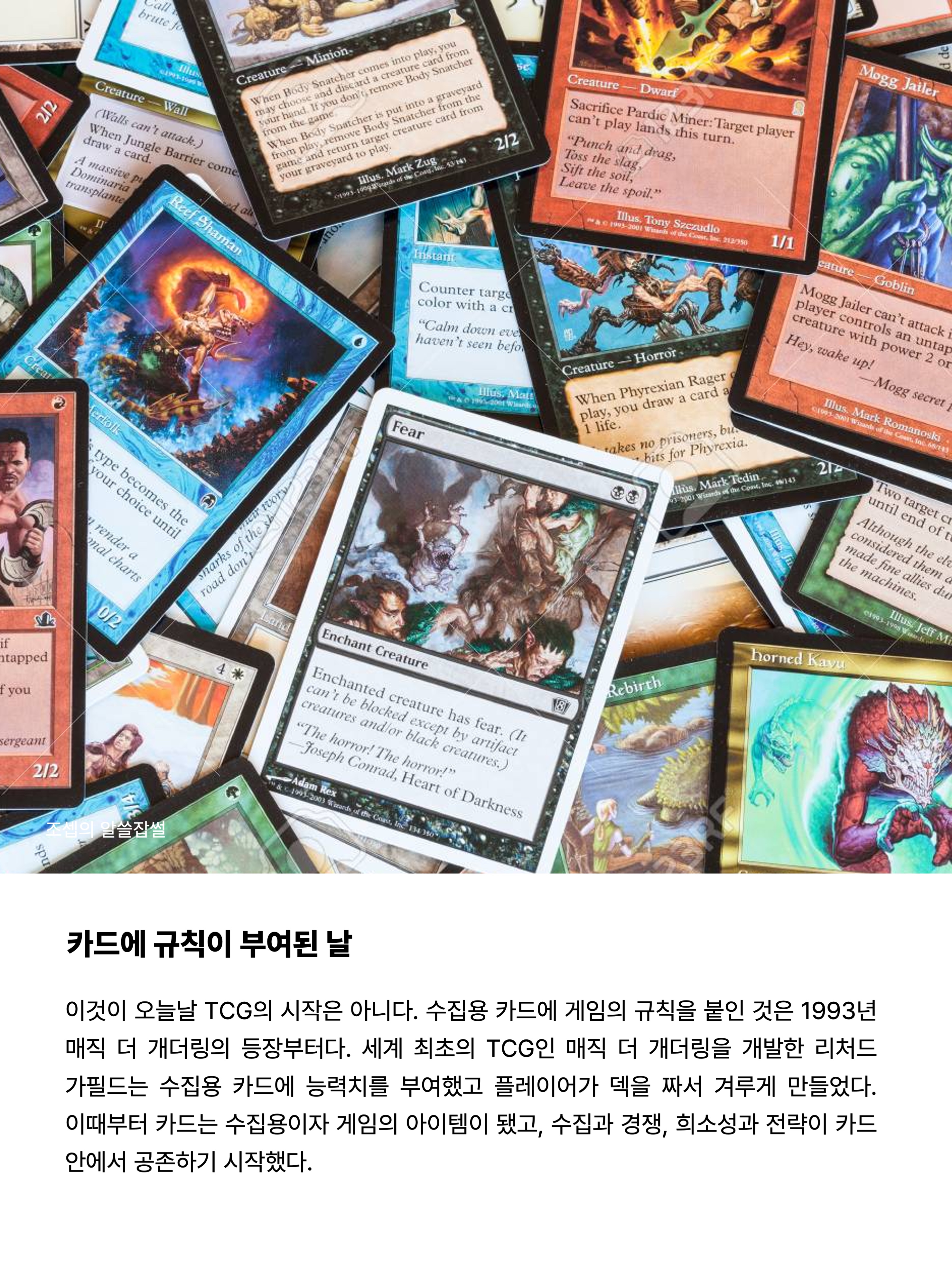 Pokemon TCG Pikachu P Mega Evolution Promos (Japanese Ver.), Pokemon TCG Mega Festa 2026 Promo Card Magikarp 착용 스타일 - 5