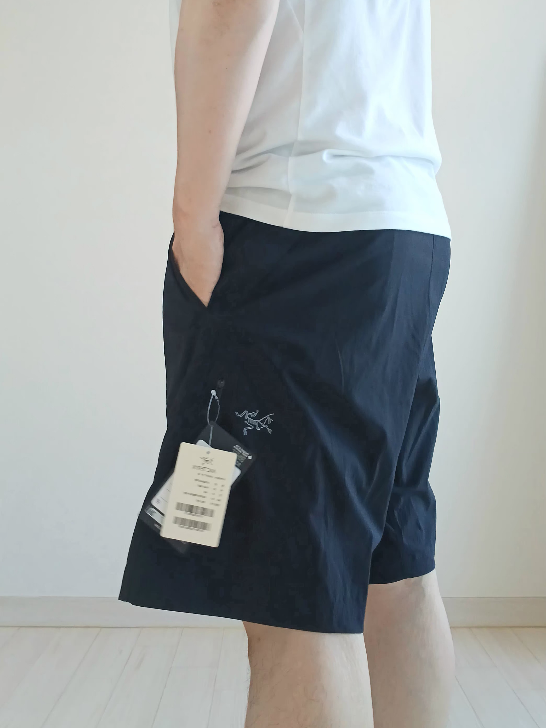 Arc'teryx Konseal Shorts 9 Inch Black, Arc'teryx Kragg SL Cotton Bird Word SS T-Shirt White Light Black 착용 스타일 - 4
