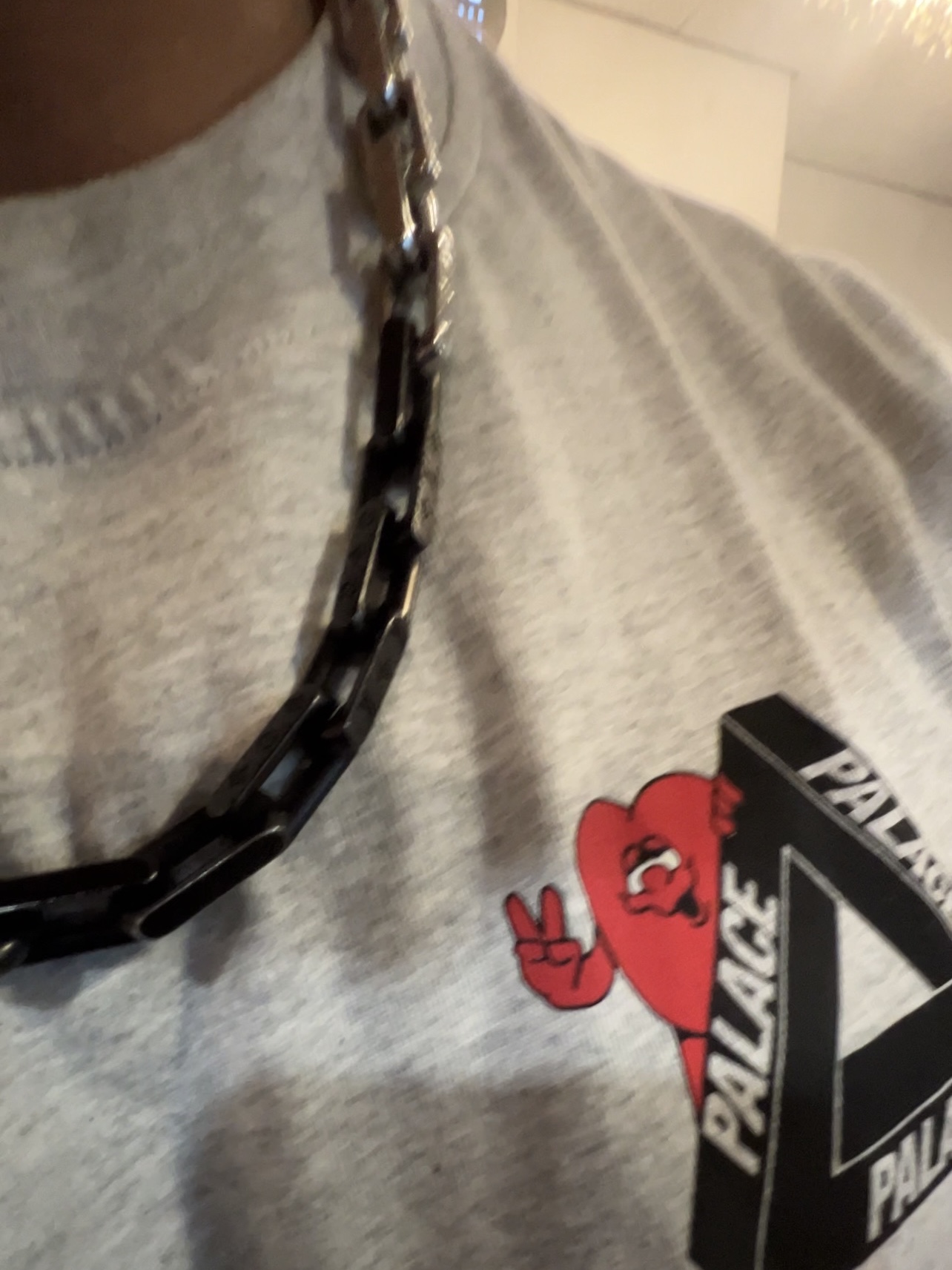 Louis Vuitton Monogram Chain Necklace Silver Black, Palace Tri-Hearts T-Shirt Grey Marl - 24SS 착용 스타일