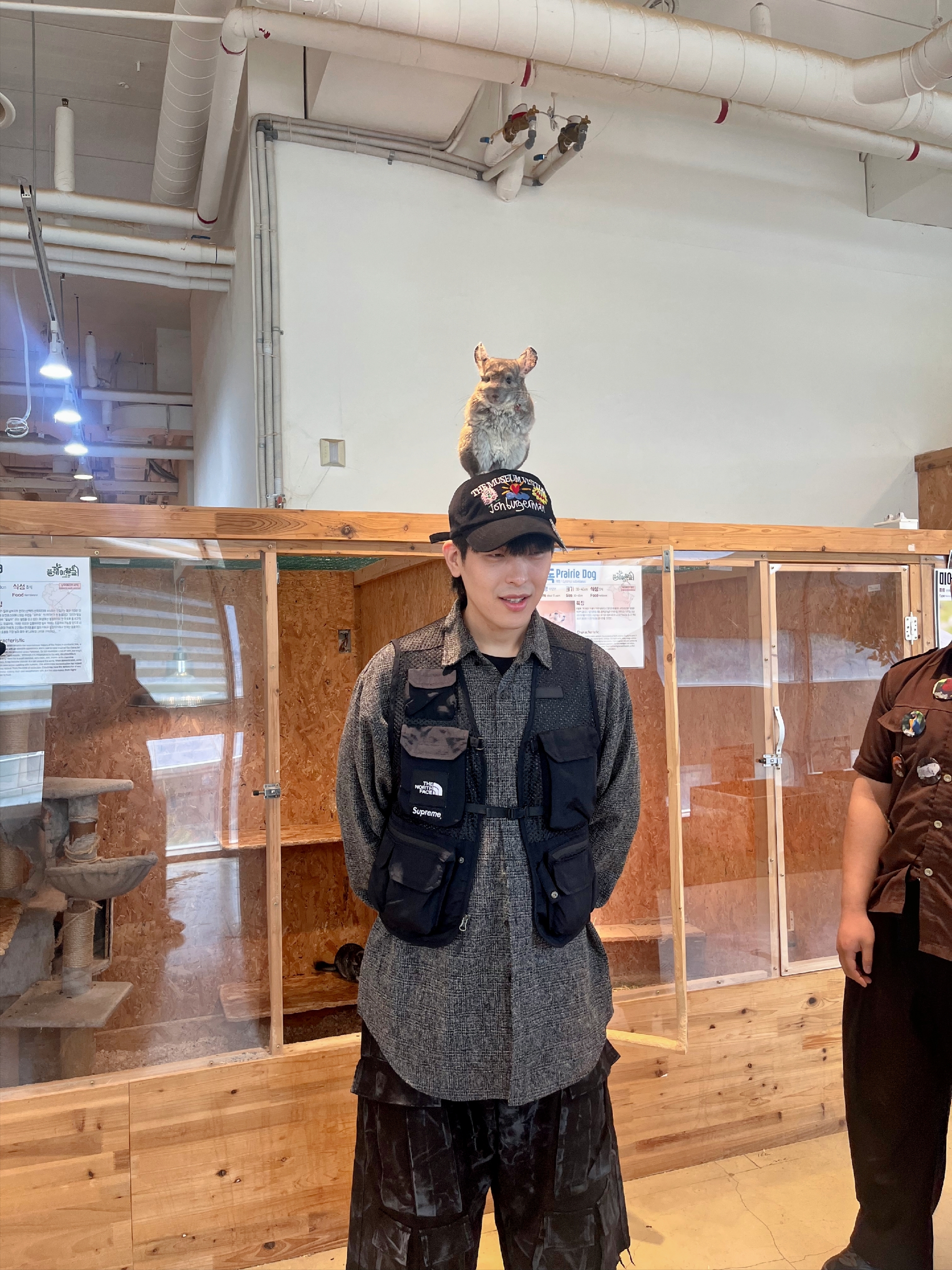 The Museum Visitor x Jon Burgerman Pinky Winky & Charlie Ball Cap Black, Supreme x The North Face Cargo Vest Black - 20SS 착용 스타일 - 2