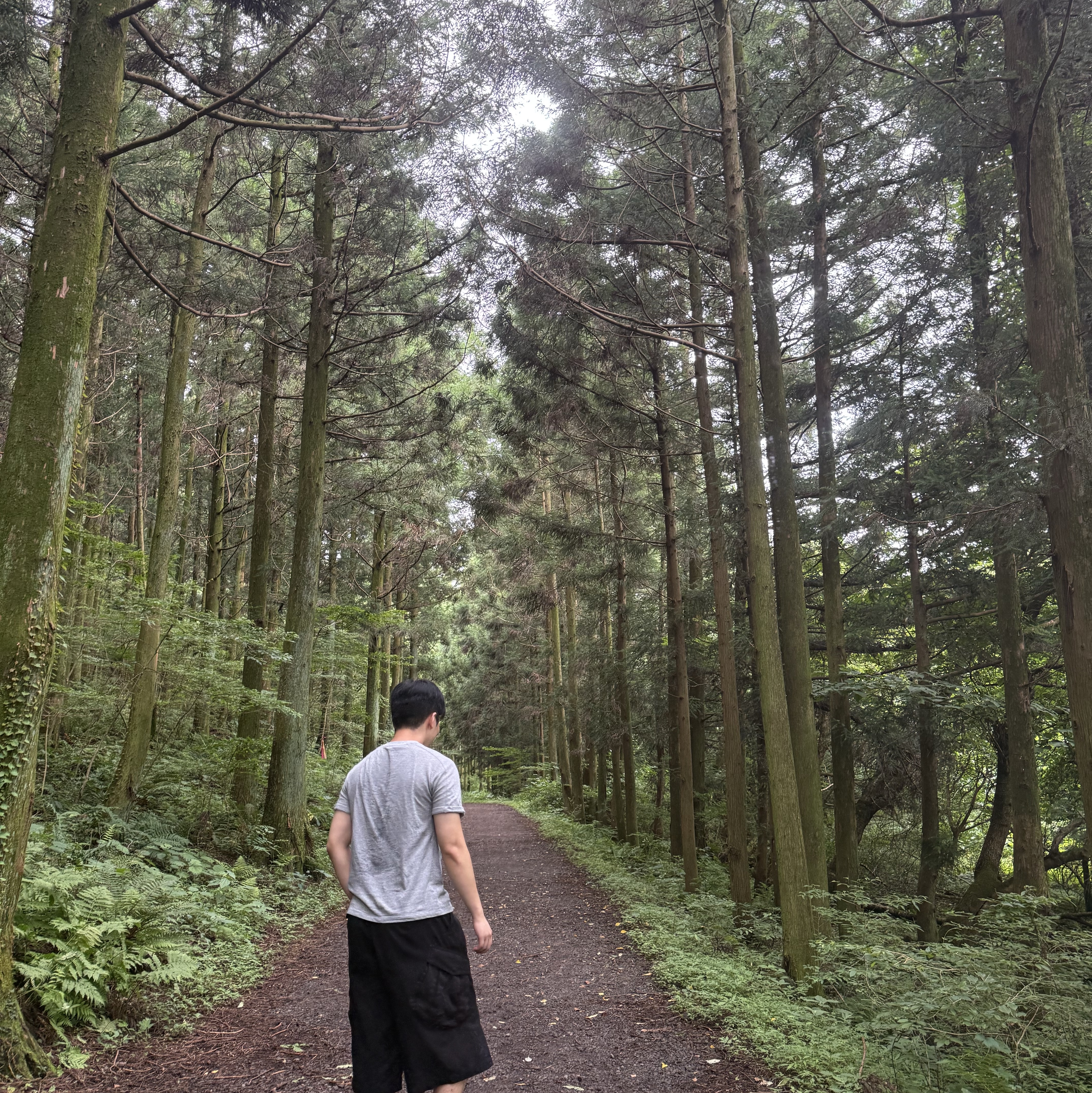 Millo Archive Segment T-Shirt Melange Gray, Sansan Gear Capri Pants Black_26SS 착용 스타일