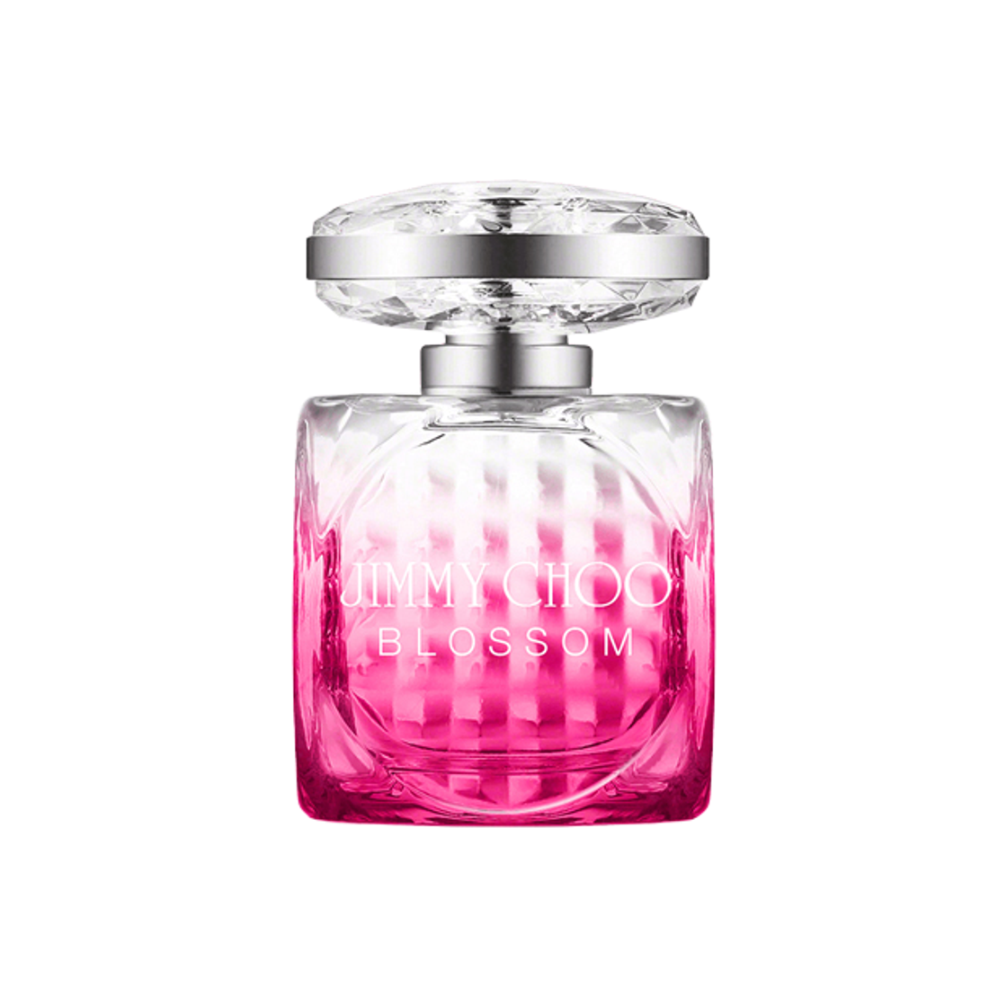 지미추 블러썸 오 드 퍼퓸 100ml(Jimmy Choo Blossom Eau De Parfum 100ml)