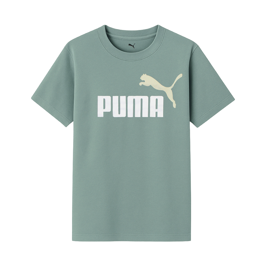 685778-30 (Kids) Puma Essentials Colour No.1 Logo T-Shirt Green Moon