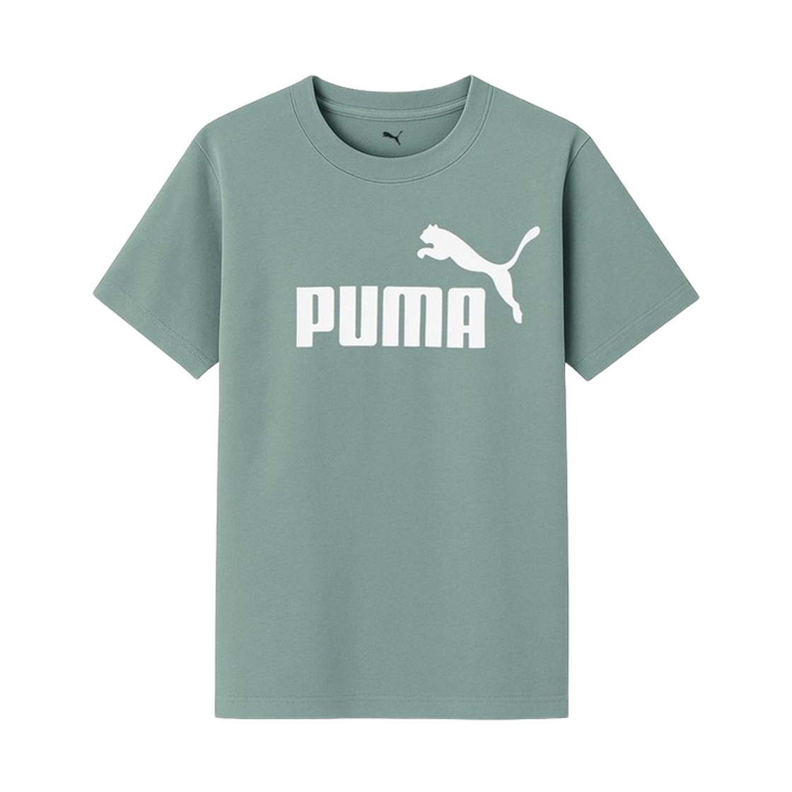 684906-30 (Kids) Puma Essentials No.1 Logo T-Shirt Green Moon