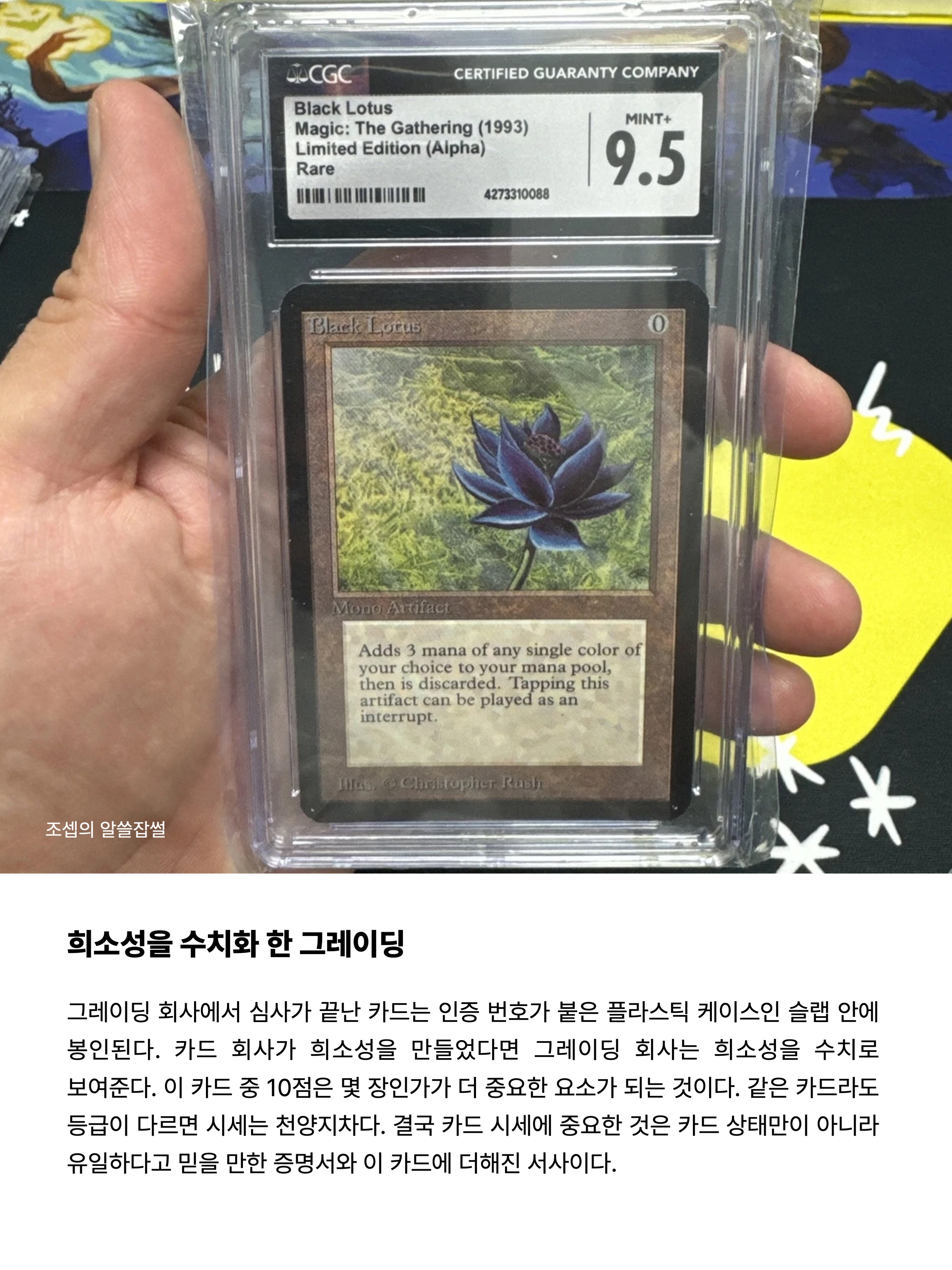 Pokemon TCG Pikachu P Mega Evolution Promos (Japanese Ver.), Pokemon TCG Mega Festa 2026 Promo Card Magikarp 착용 스타일 - 8