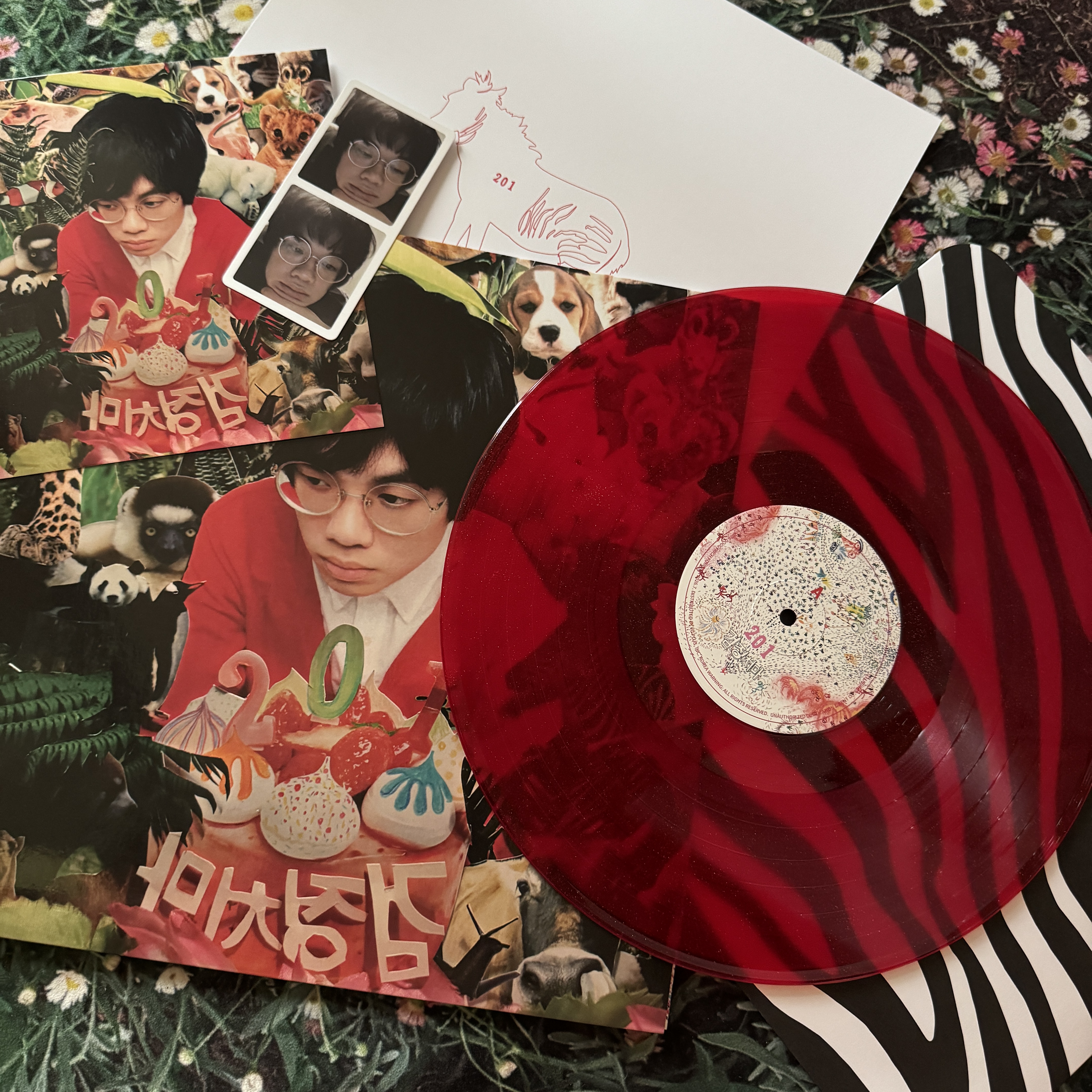 The Black Skirts 1st Album 201 LP Red Glitter 착용 스타일